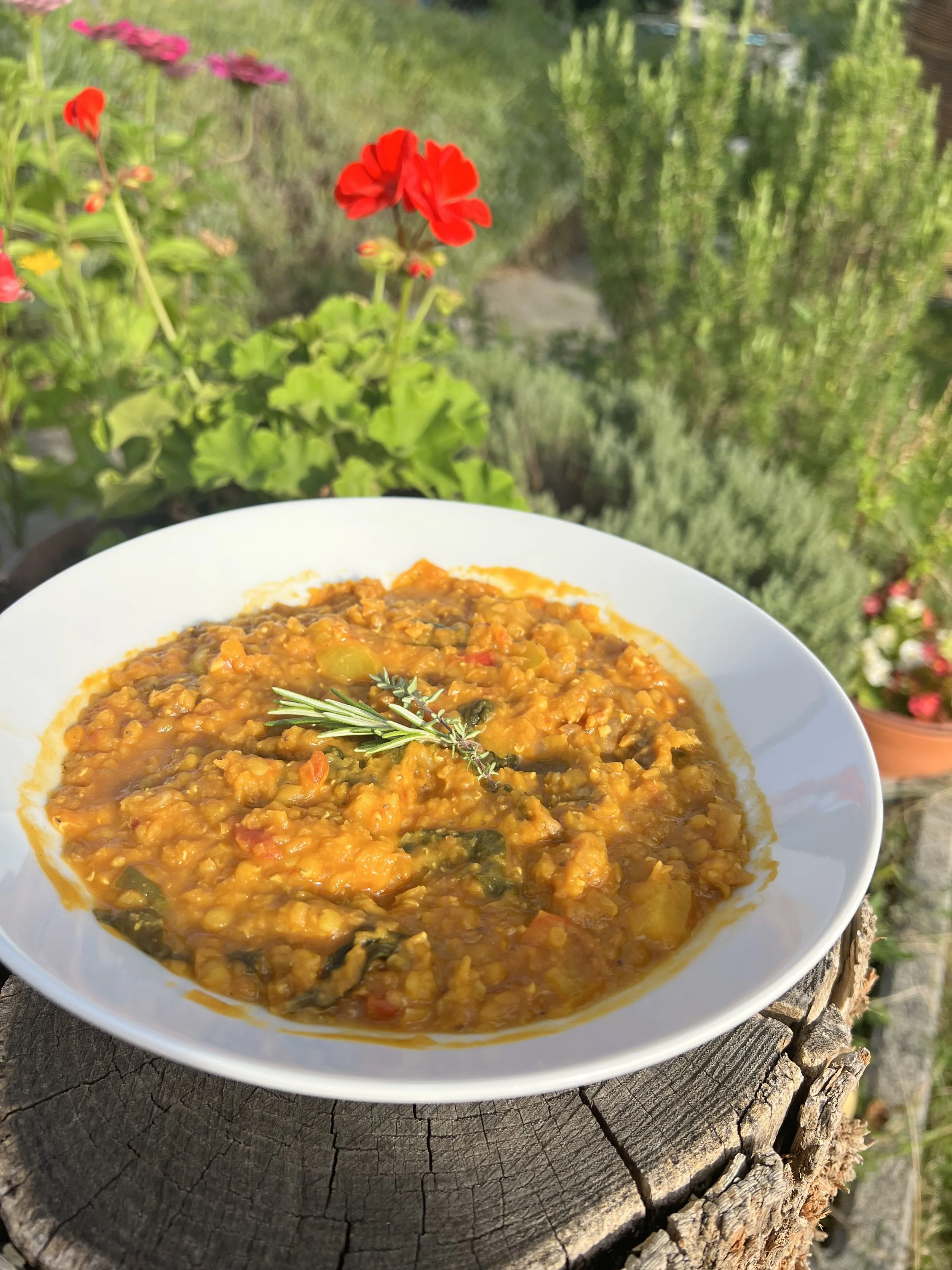 Lentil Curry