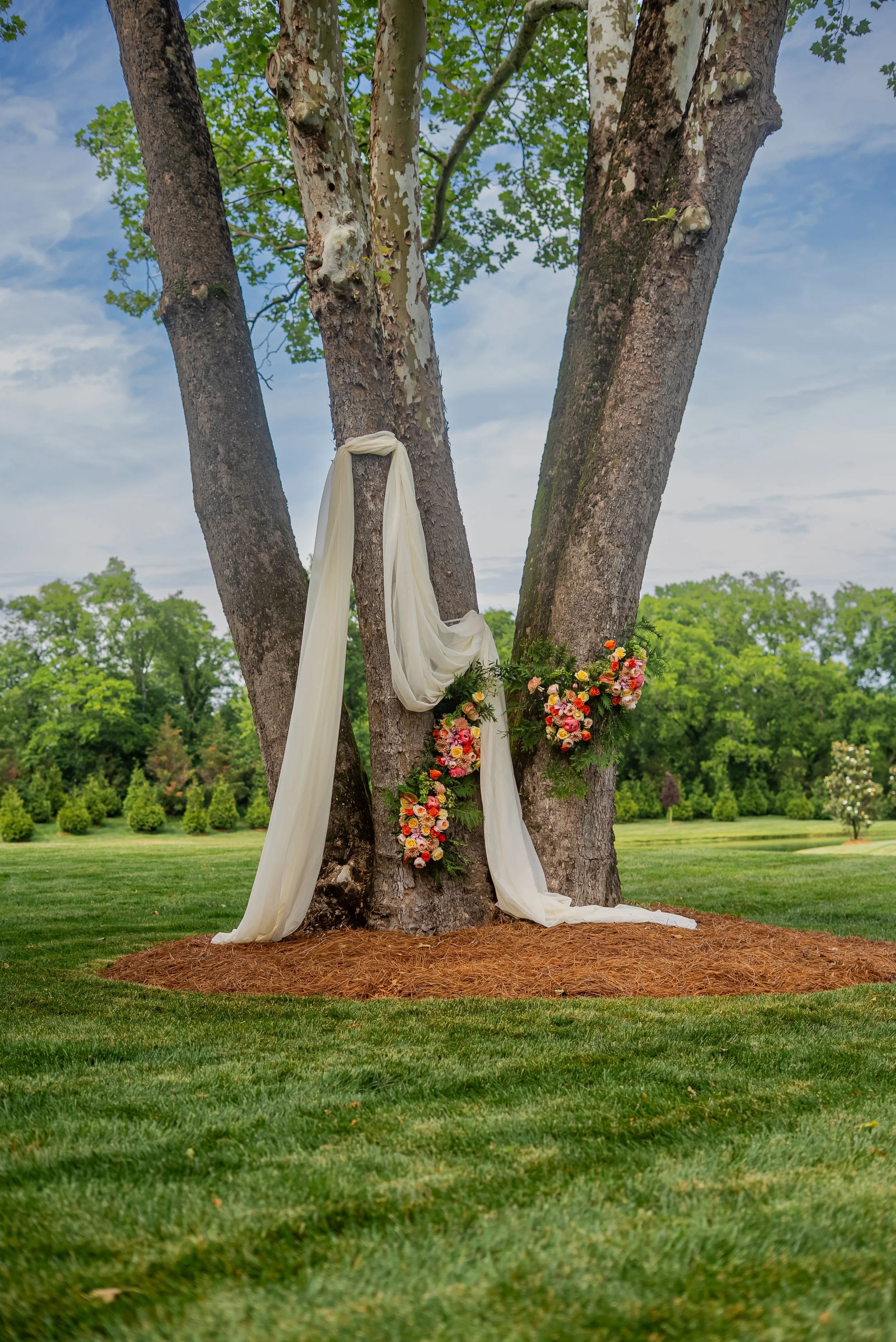 Tree decorated for a wedding with white fabric and a colorful bouquet of flowers hanging from it, set in a grassy park with a clear blue sky.