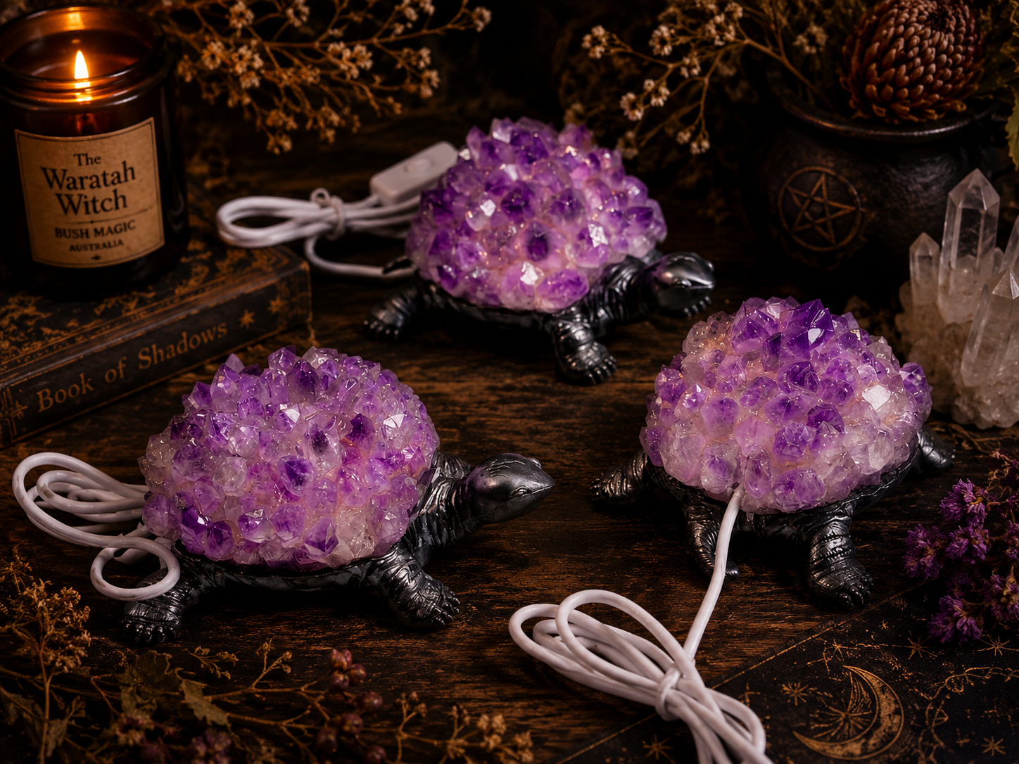 TWW Turtle LED Lamps 4 Copyright image owned and created by the Waratah Witch.png