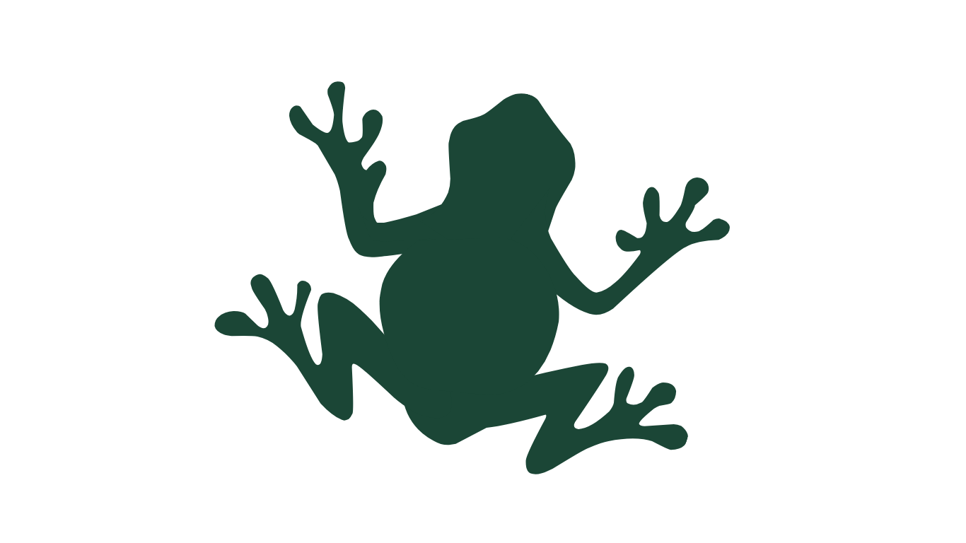 Silhouette of a frog with extended limbs, facing forward.