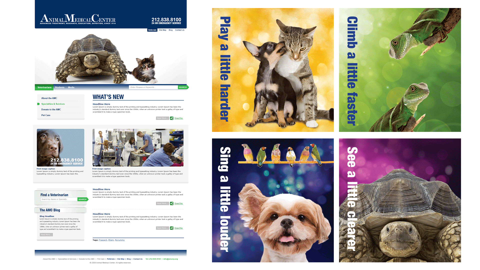 Interface Strategy: Redesigning the digital hub to streamline user access to emergency services and specialized institutional care. Environmental Branding: A series of high-impact backlit Duratrans displays utilizing intimate photography and aspirati
