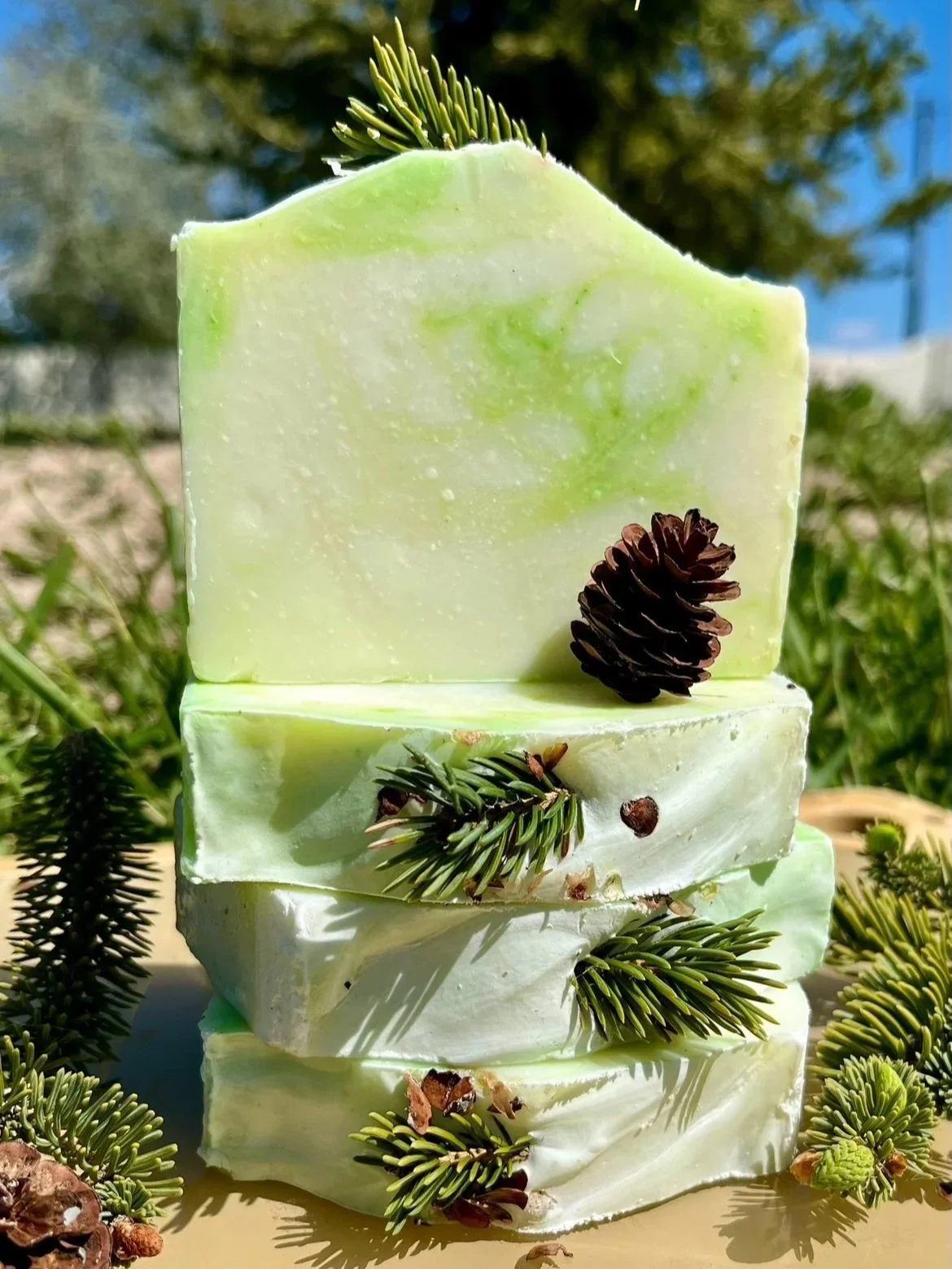 frosted+fir.jpg