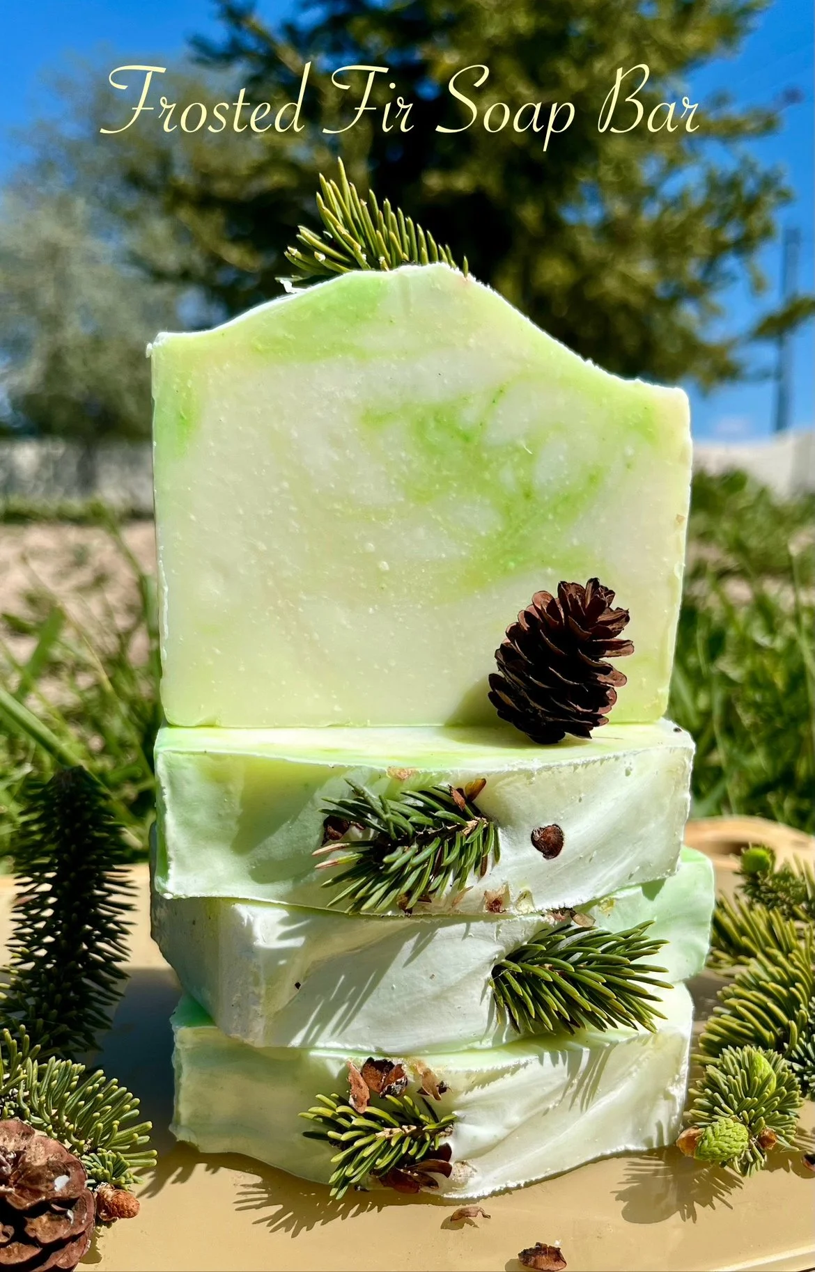 Frosted Fir Tallow Soap Bar