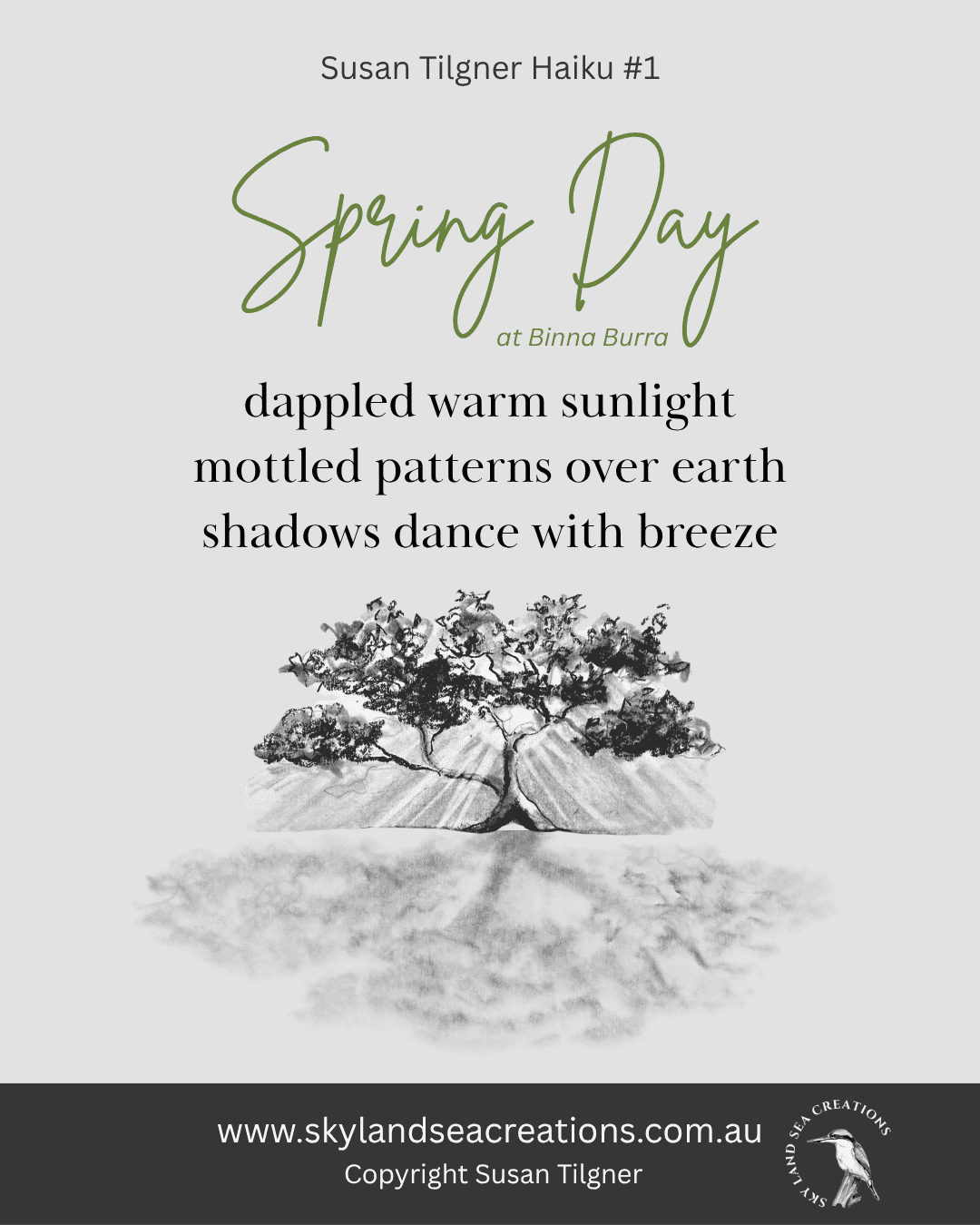 Spring Day at Binna Burra is a haiku poem by Australian writer Susan Tilgner.