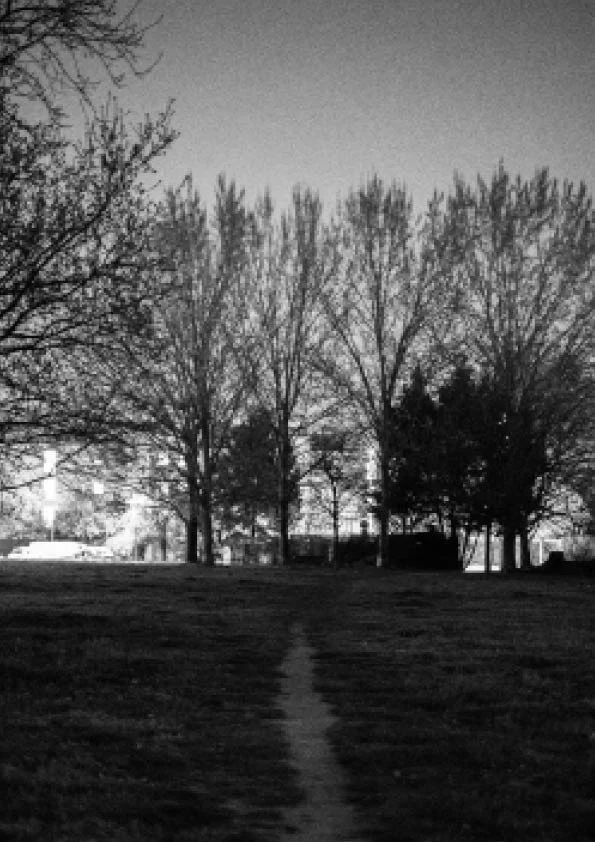 The night comes  2.jpg