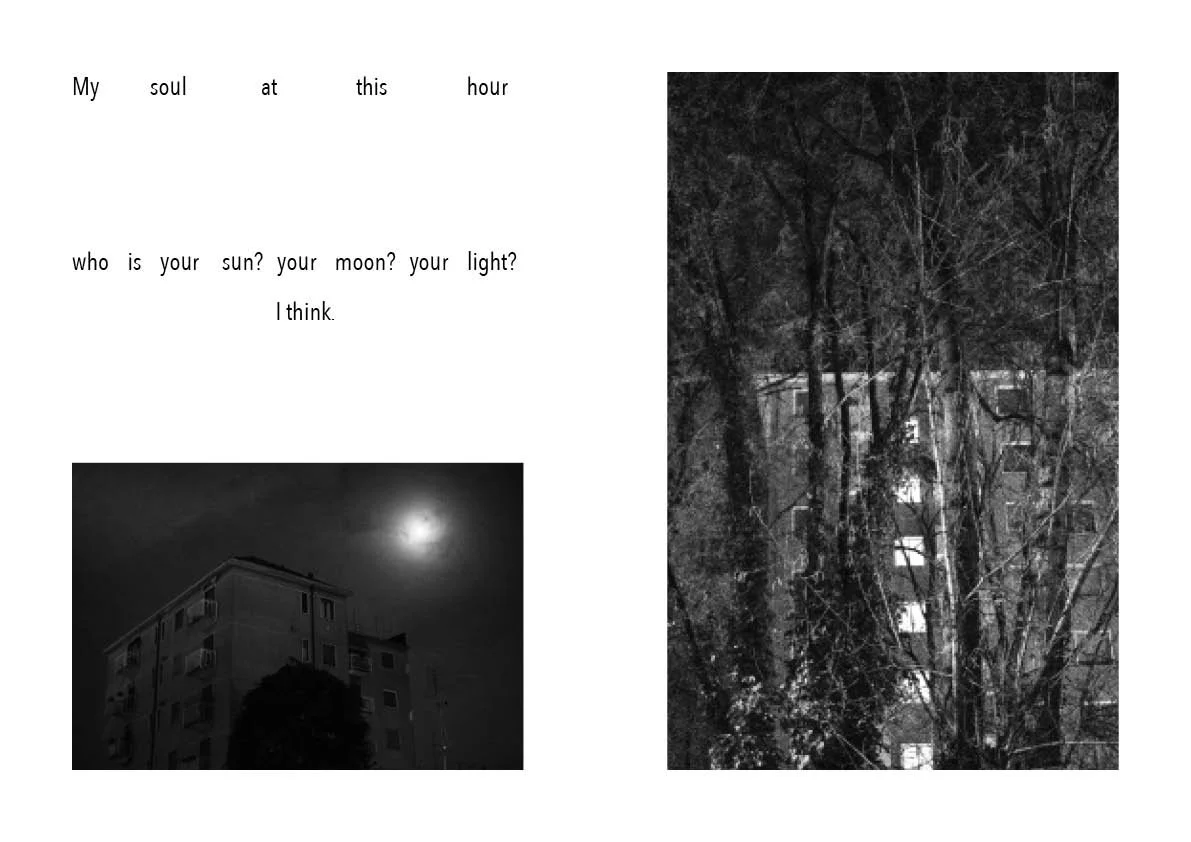 The night comes  25.jpg