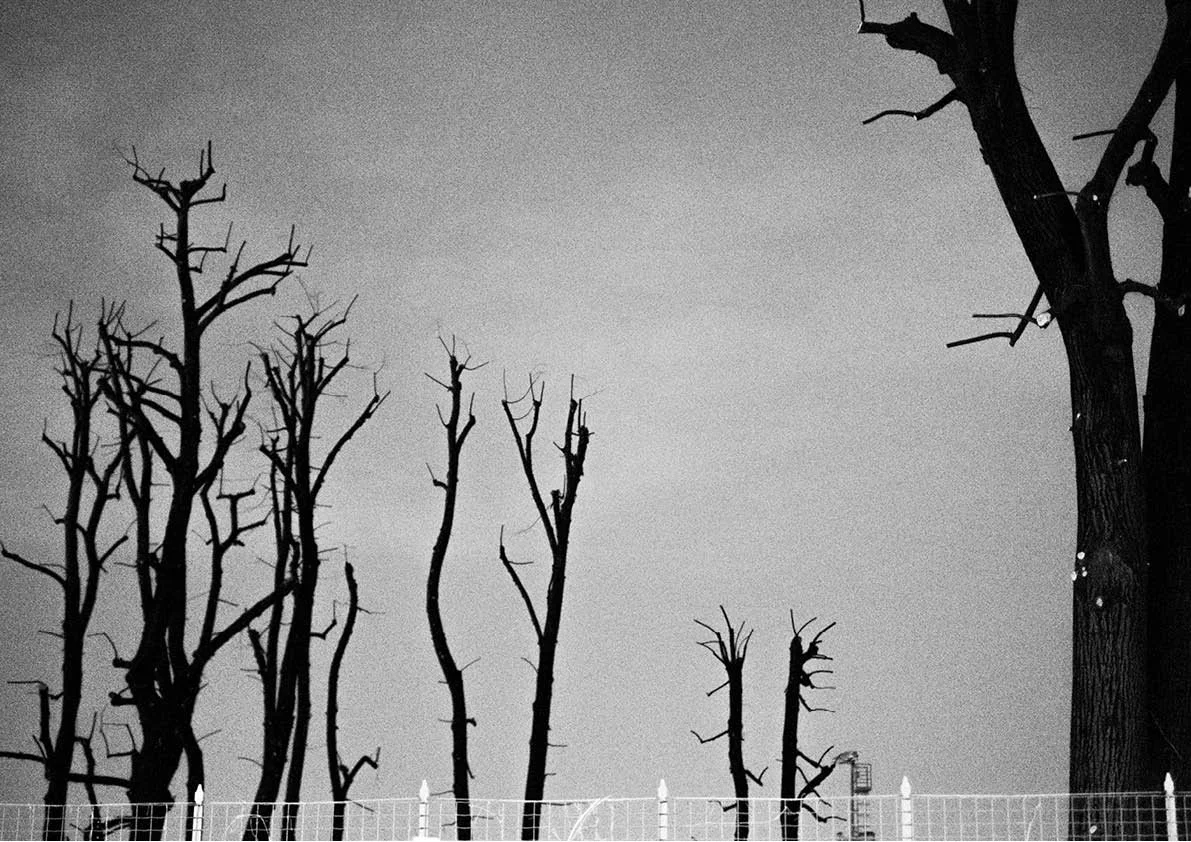 The night comes  22.jpg