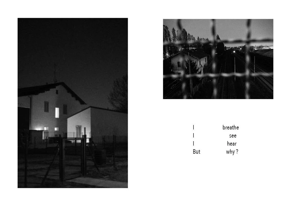 The night comes  24.jpg