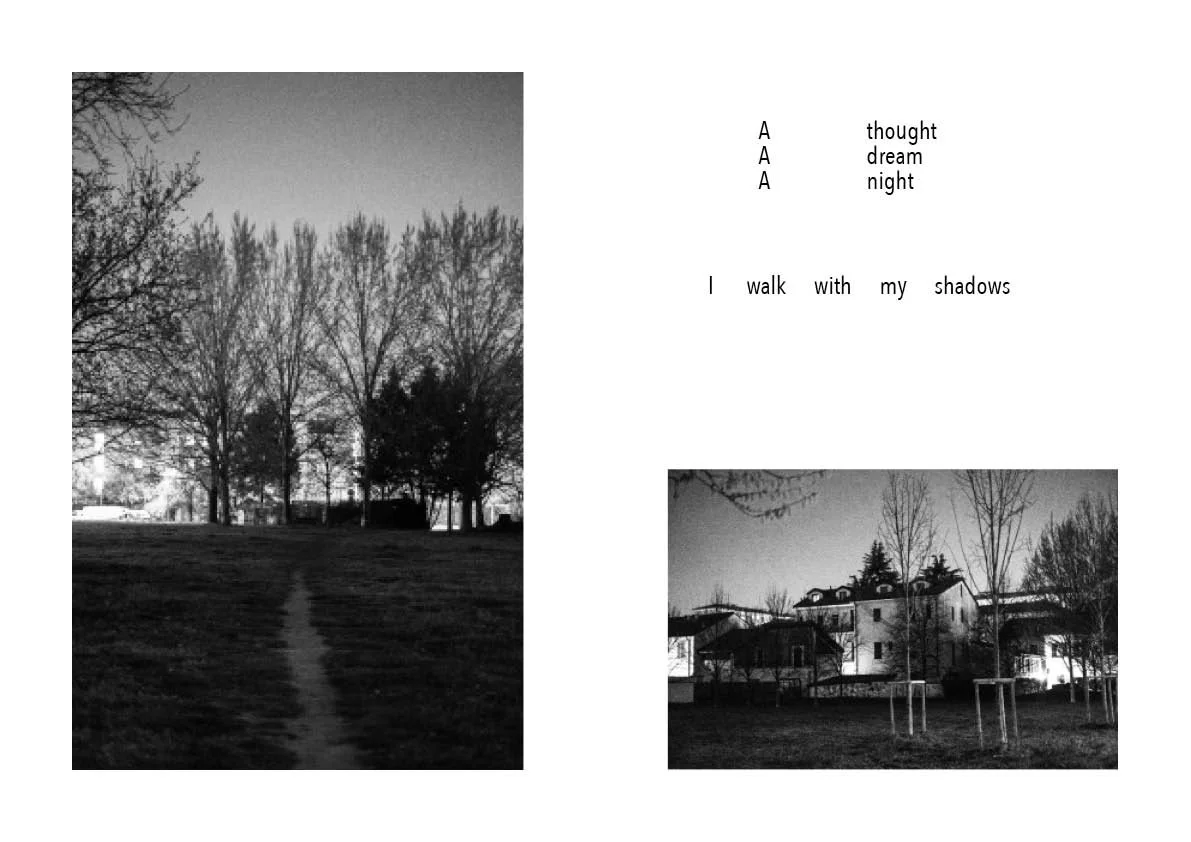 The night comes  23.jpg