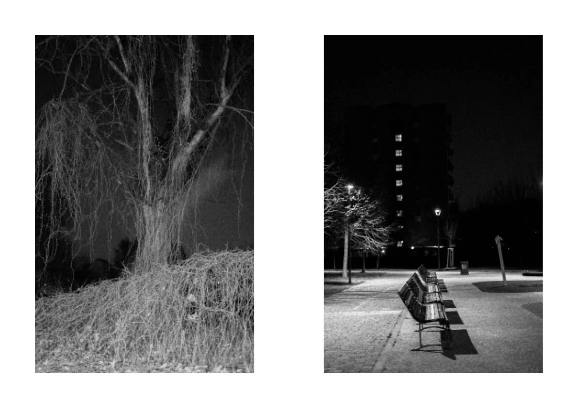 The night comes  28.jpg