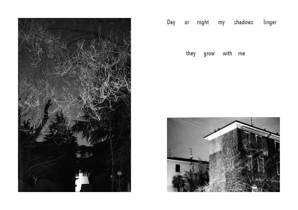 The night comes  29.jpg