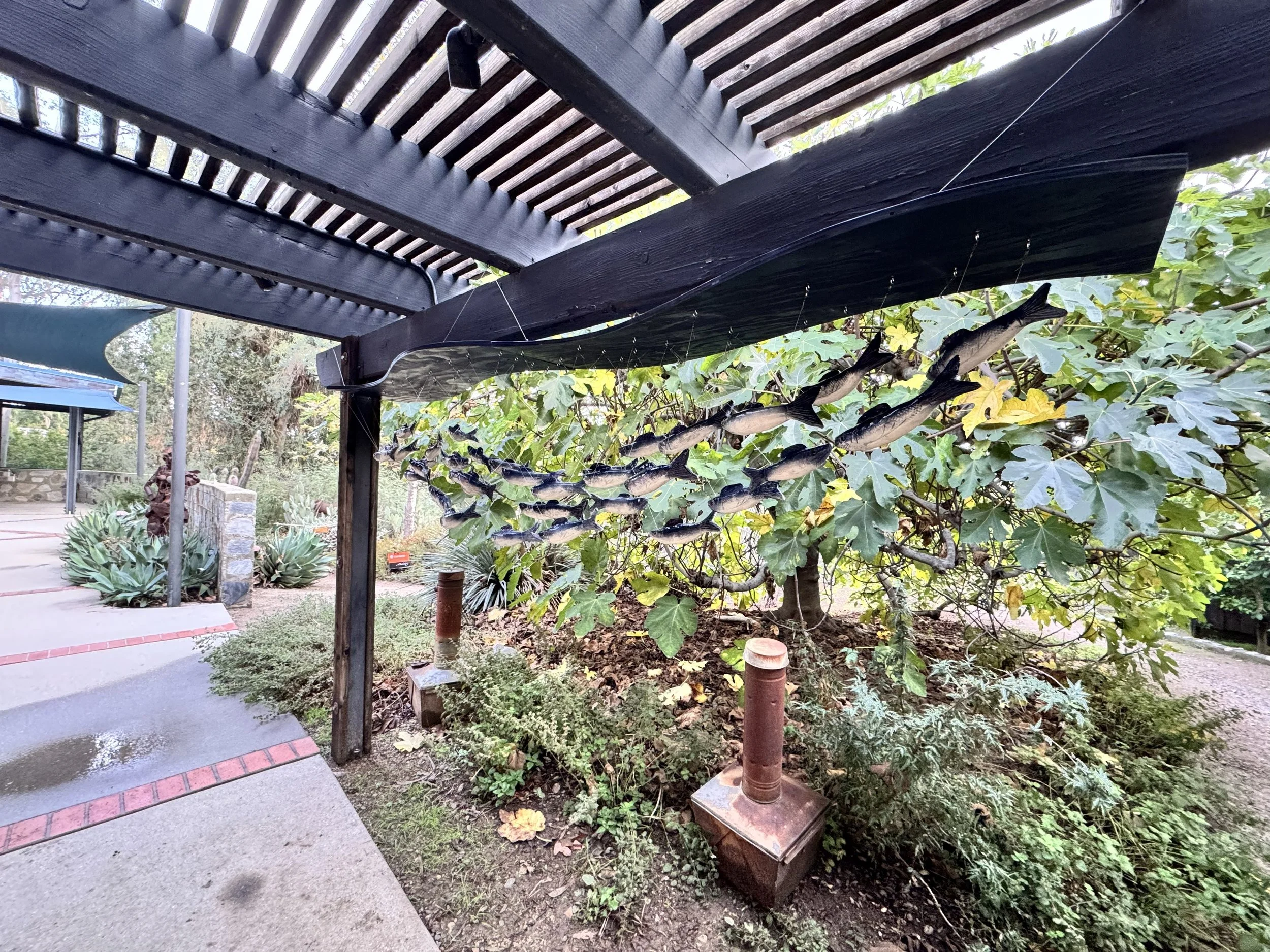 A garden scene with a wooden structure overhead, under which several fish are suspended by wires, with green leafy plants and a pathway below.