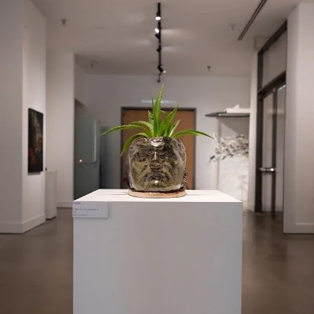 A potted plant displayed on a white pedestal in an art gallery.