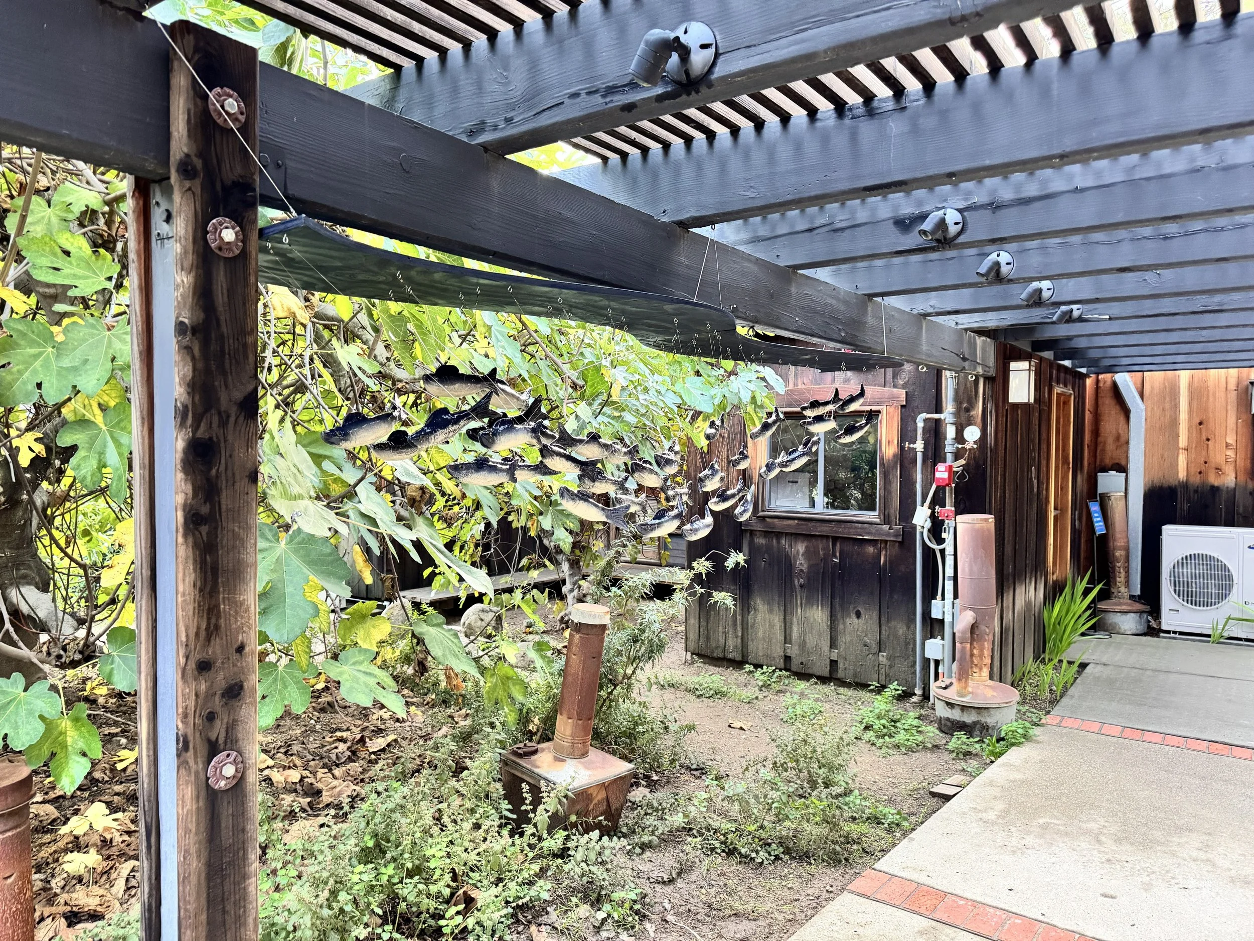 An outdoor patio area with a wooden pergola featuring mounted spotlights, surrounded by lush greenery, including large leafy plants, and a small outdoor water fountain with a rusted pipe and a white air conditioning unit in the background. The ground