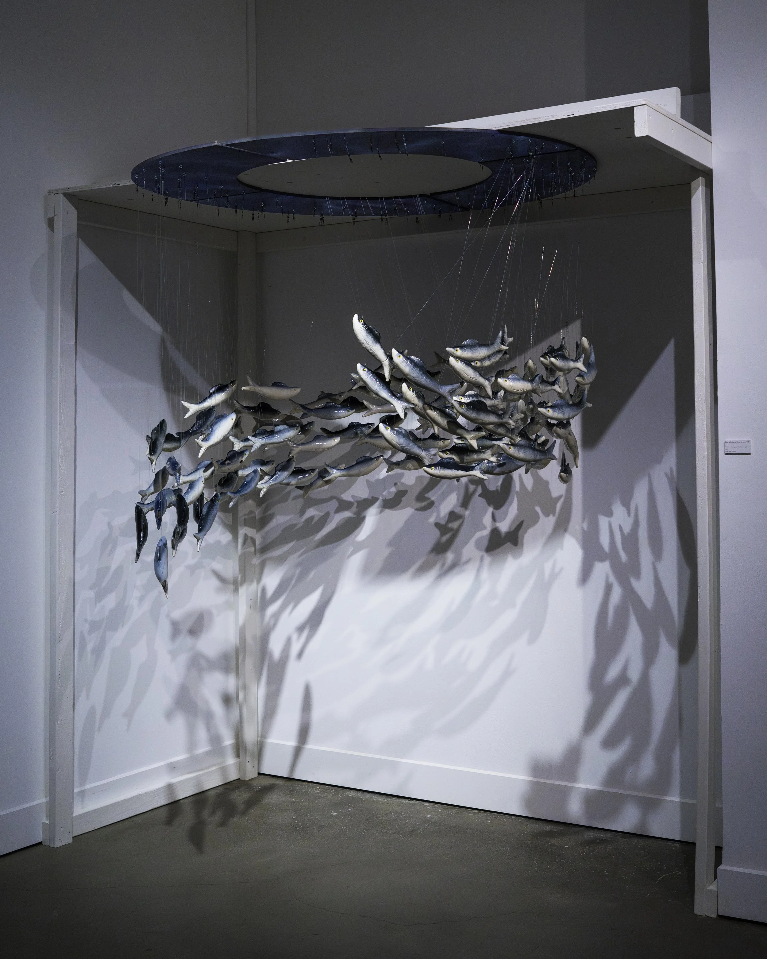 A mixed-media art installation in a gallery space, featuring a suspended sculpture of numerous small, fish-shaped objects hanging from wires inside a white, rectangular frame with a circular cutout on top, casting shadows on the white walls.
