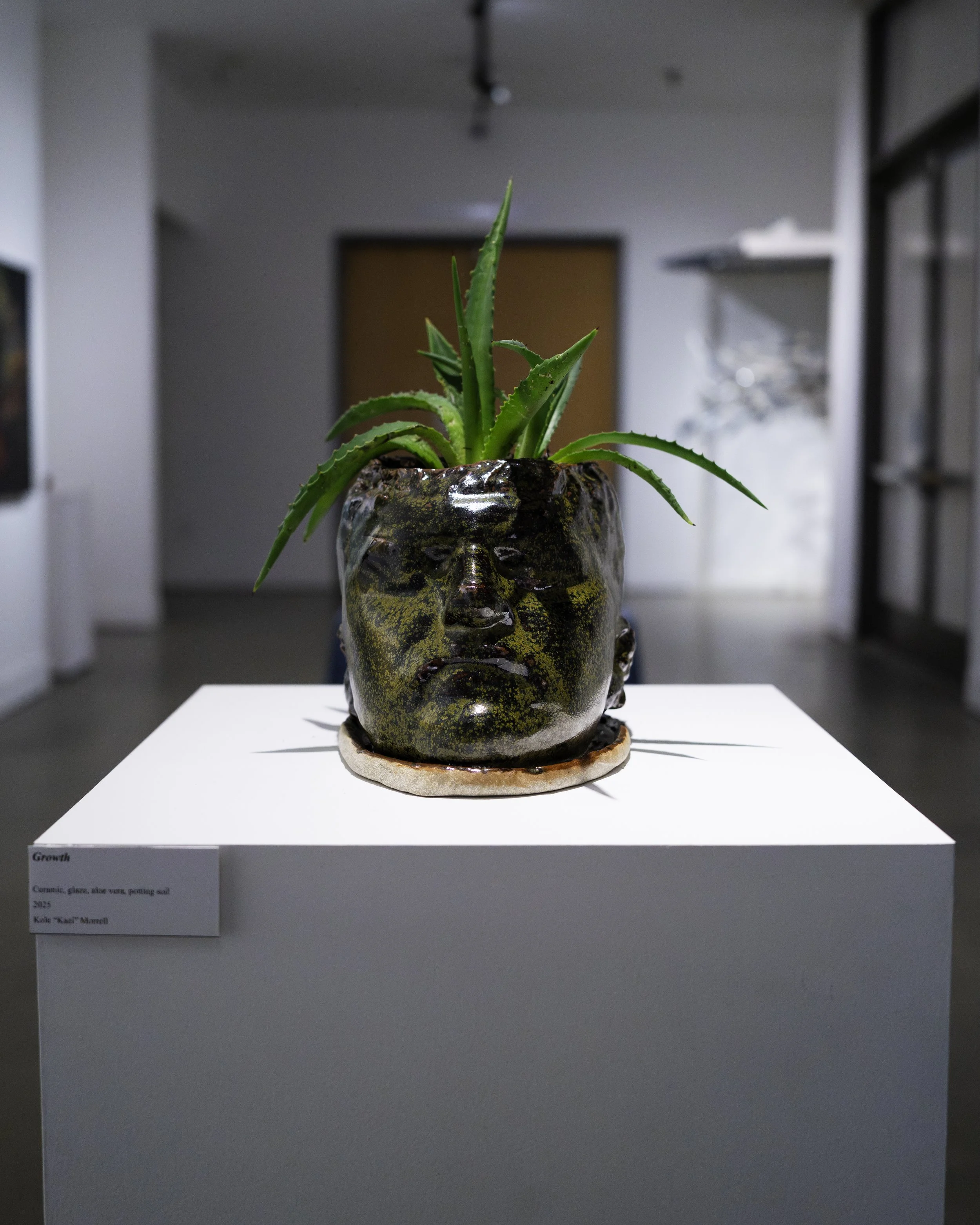 A ceramic sculpture of a face with closed eyes, serving as a vase for an aloe vera plant. The sculpture has a glossy, textured surface with a dark glaze that has yellowish and greenish mottled patterns. It is displayed on a white pedestal in an art g
