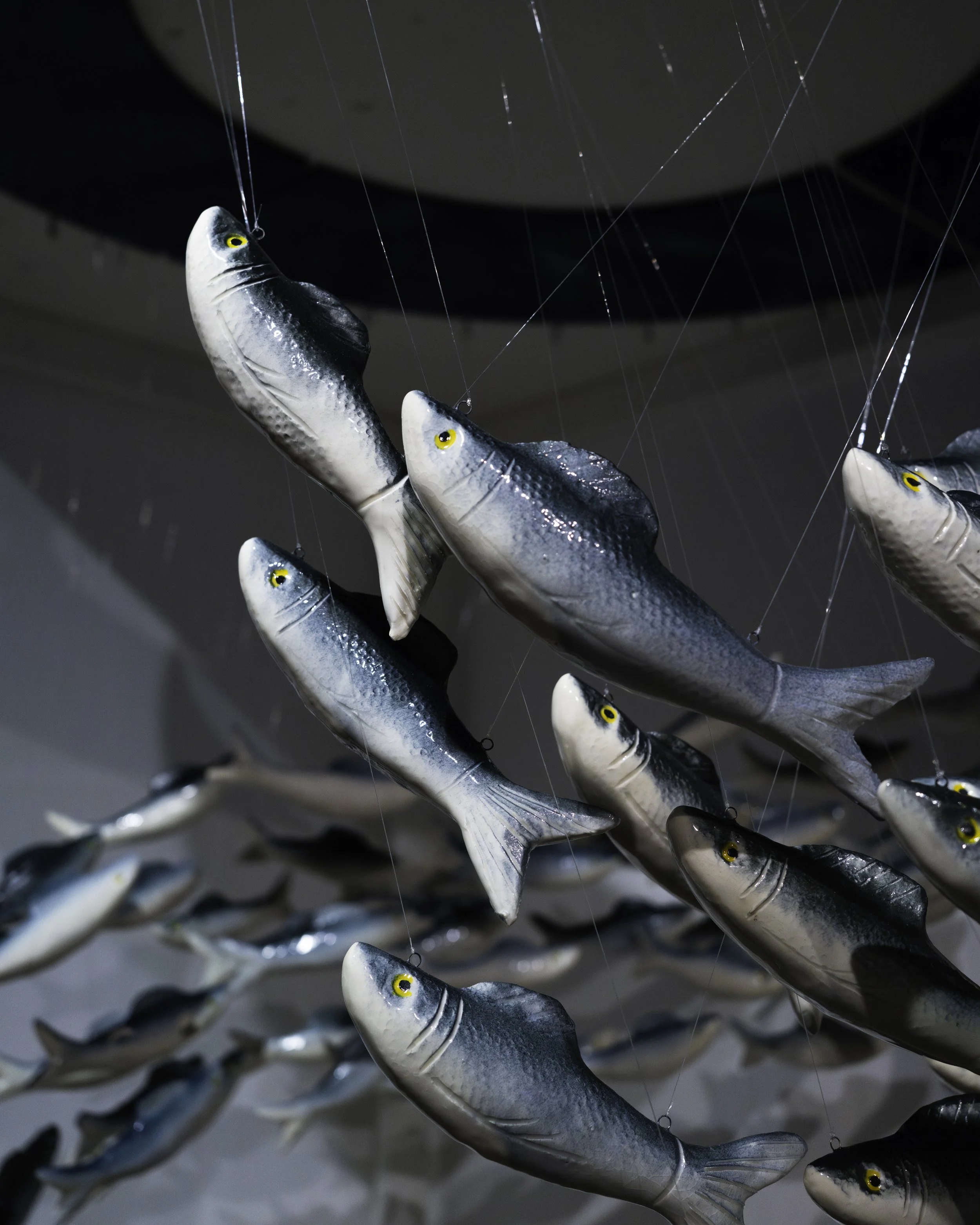 A collection of fish-shaped ornaments hanging from thin strings on a dark background.