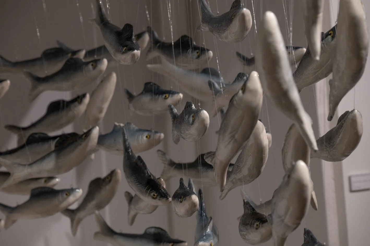 A hanging mobile with multiple realistic fish sculptures suspended by thin strings in various directions.