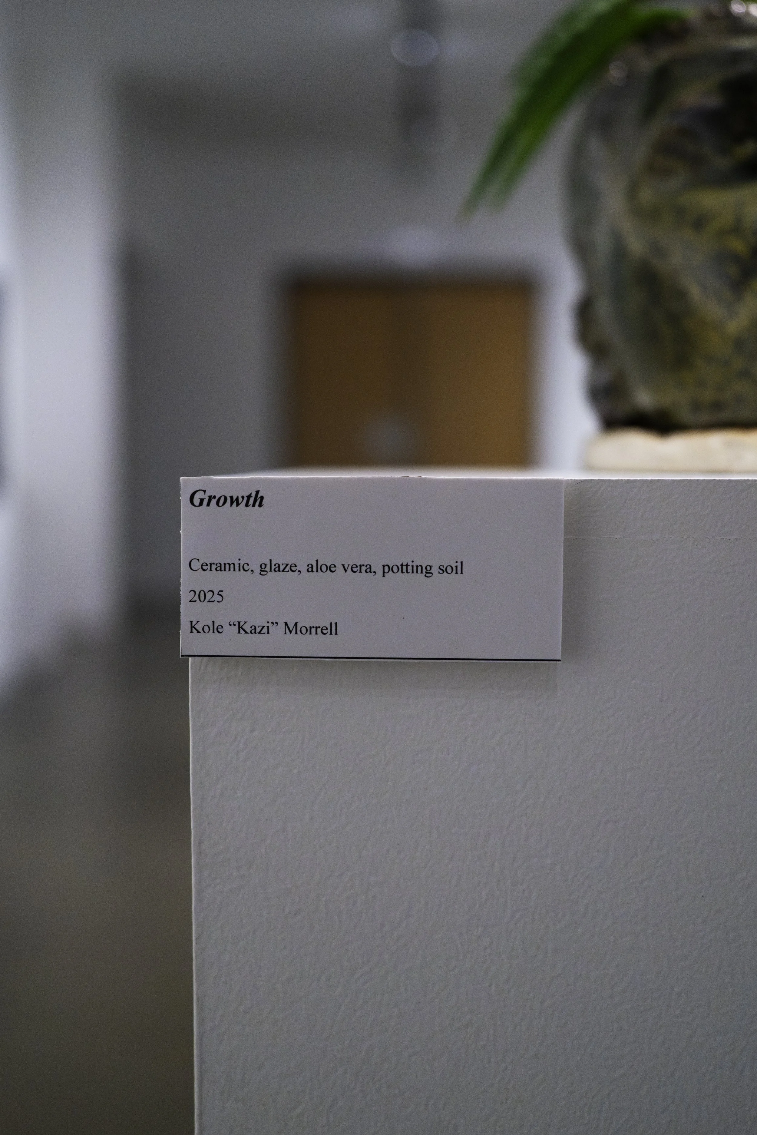 Close-up of a white display card with the title 'Growth' and a description listing ceramic, glaze, aloe vera, and potting soil, with the name 'Kole Kazi Morrell' at the bottom. In the background, part of a potted plant is visible, and a blurred room 