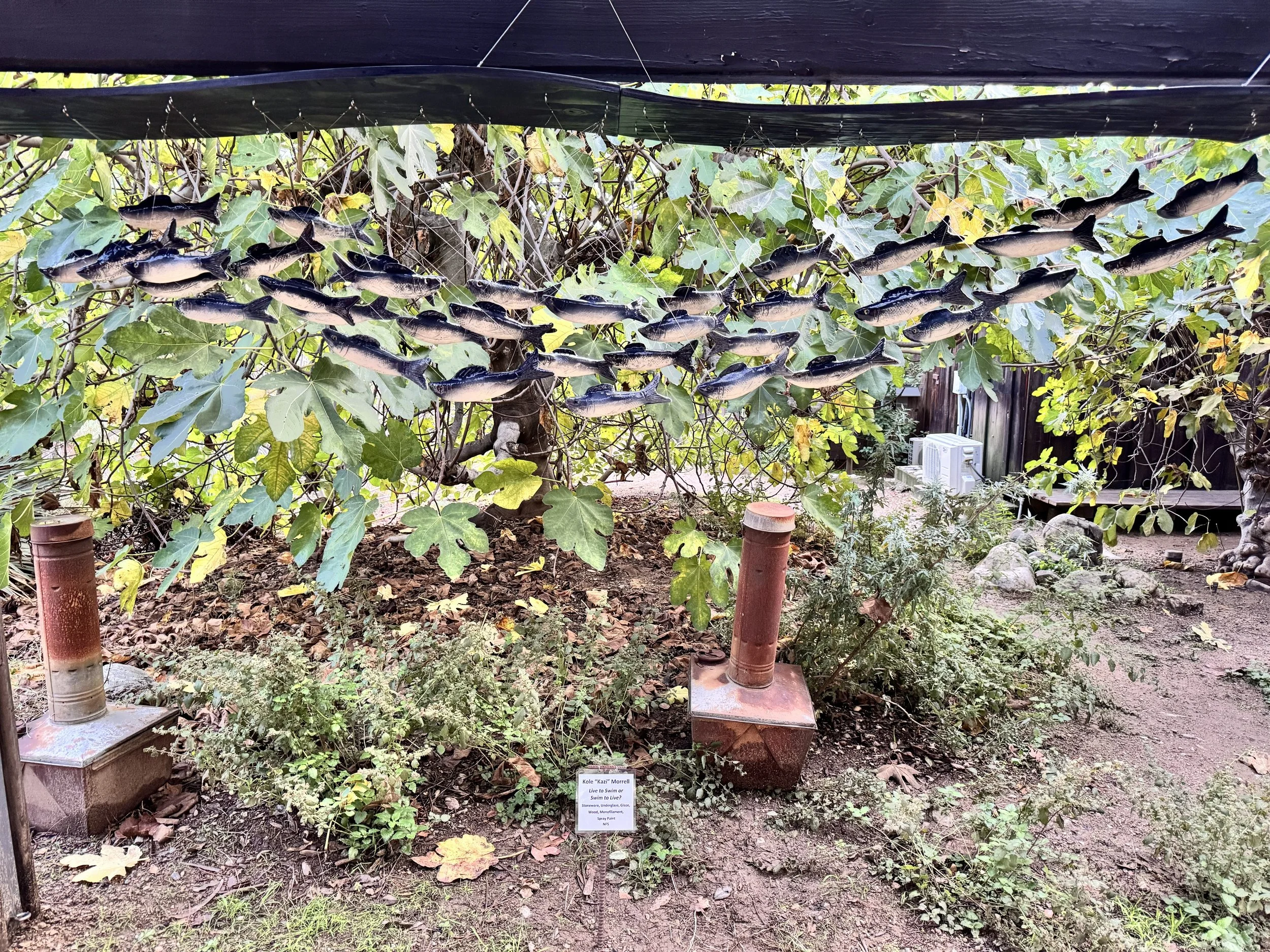 A display of multiple fish hanging from strings among green leaves, with a small sign at the bottom that reads 'Kole Karo Morrell.'