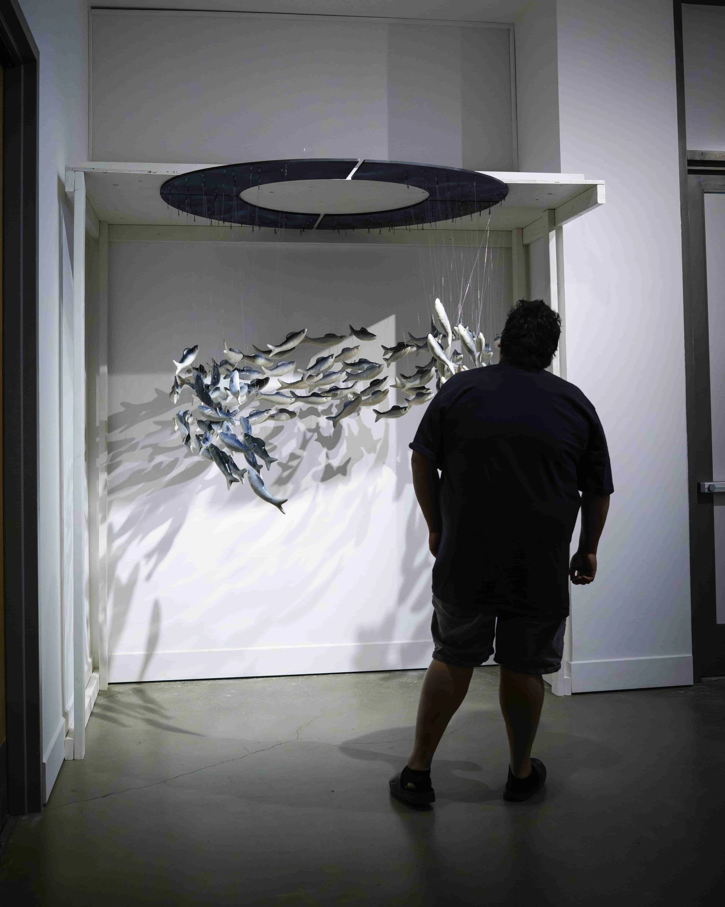 A man with curly dark hair wearing a navy blue shirt, black shorts, and sandals, standing indoors in front of an art installation of multiple small fish suspended from the ceiling by thin strings, with a large black and white circular artwork above.