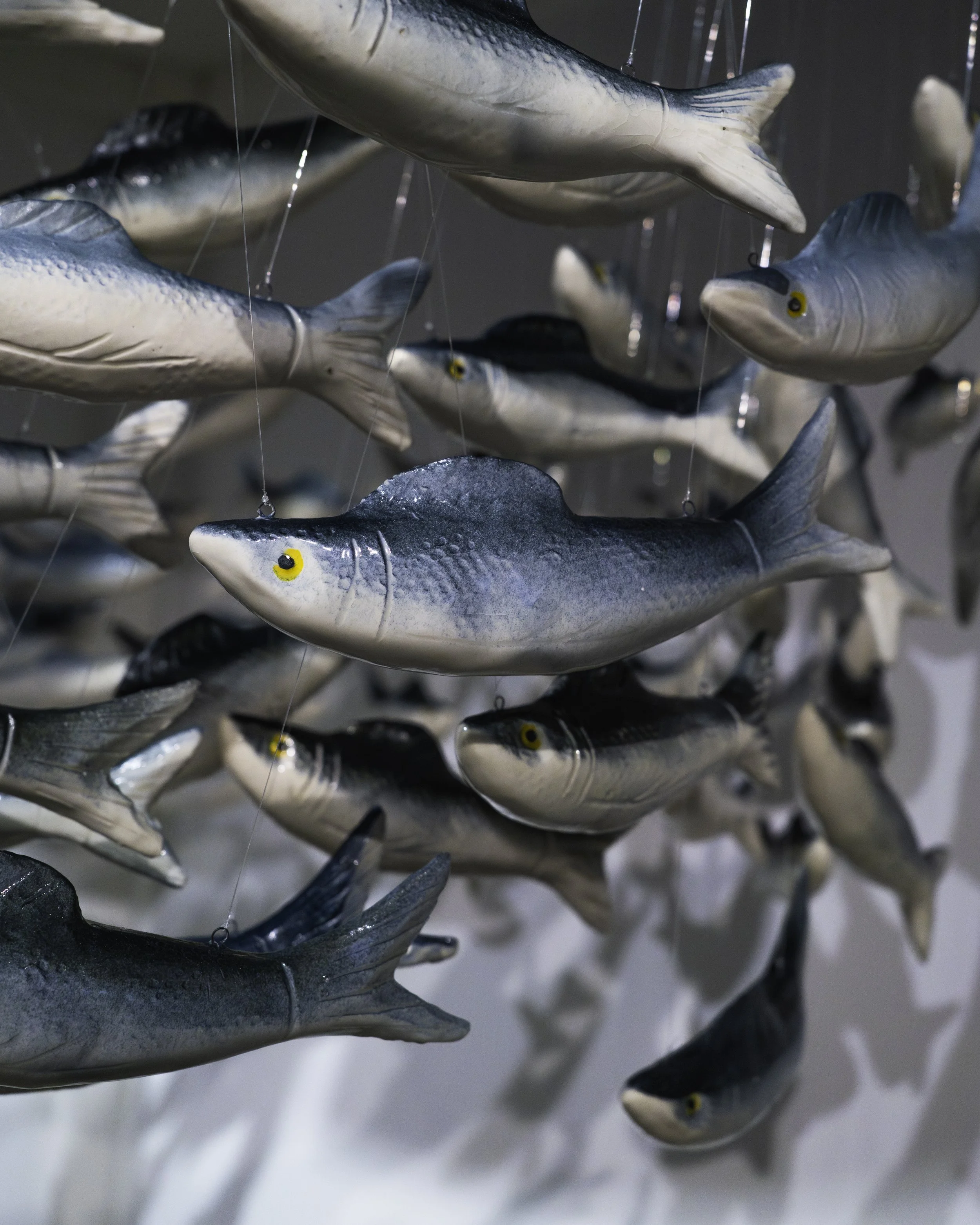 Close-up of hanging decorative fish models, painted in shades of blue, gray, and white, with yellow eyes, suspended by thin wires.