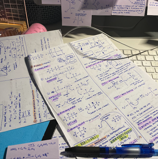The First Month of IB: What You Should Actually Focus On