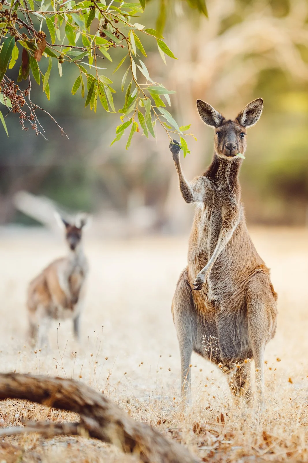 Max Young-5300 copy 2.jpg