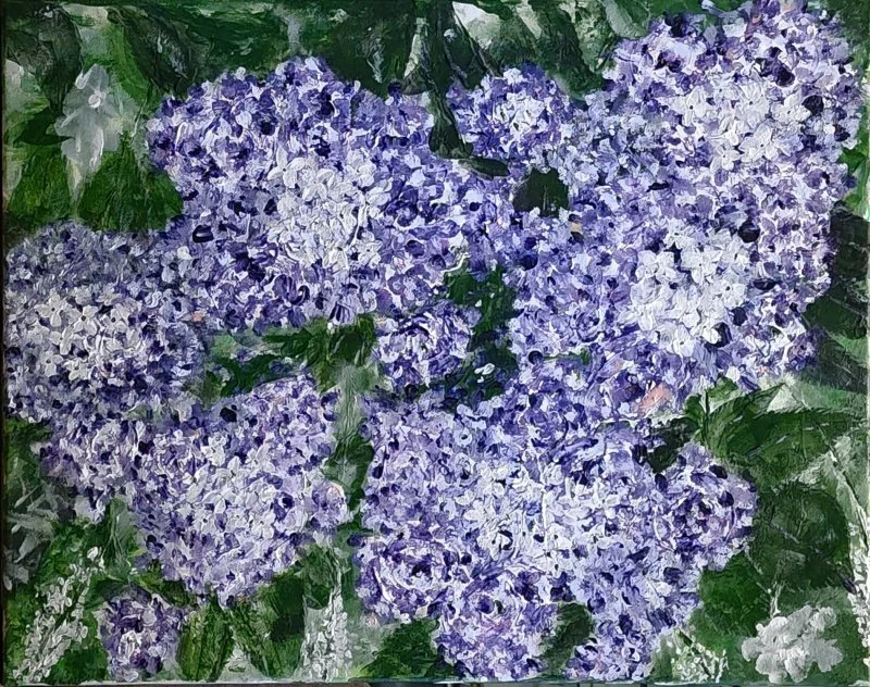 Lilac Whisper