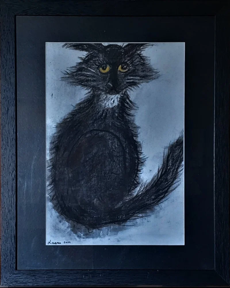 Pek.  A very special cat person.