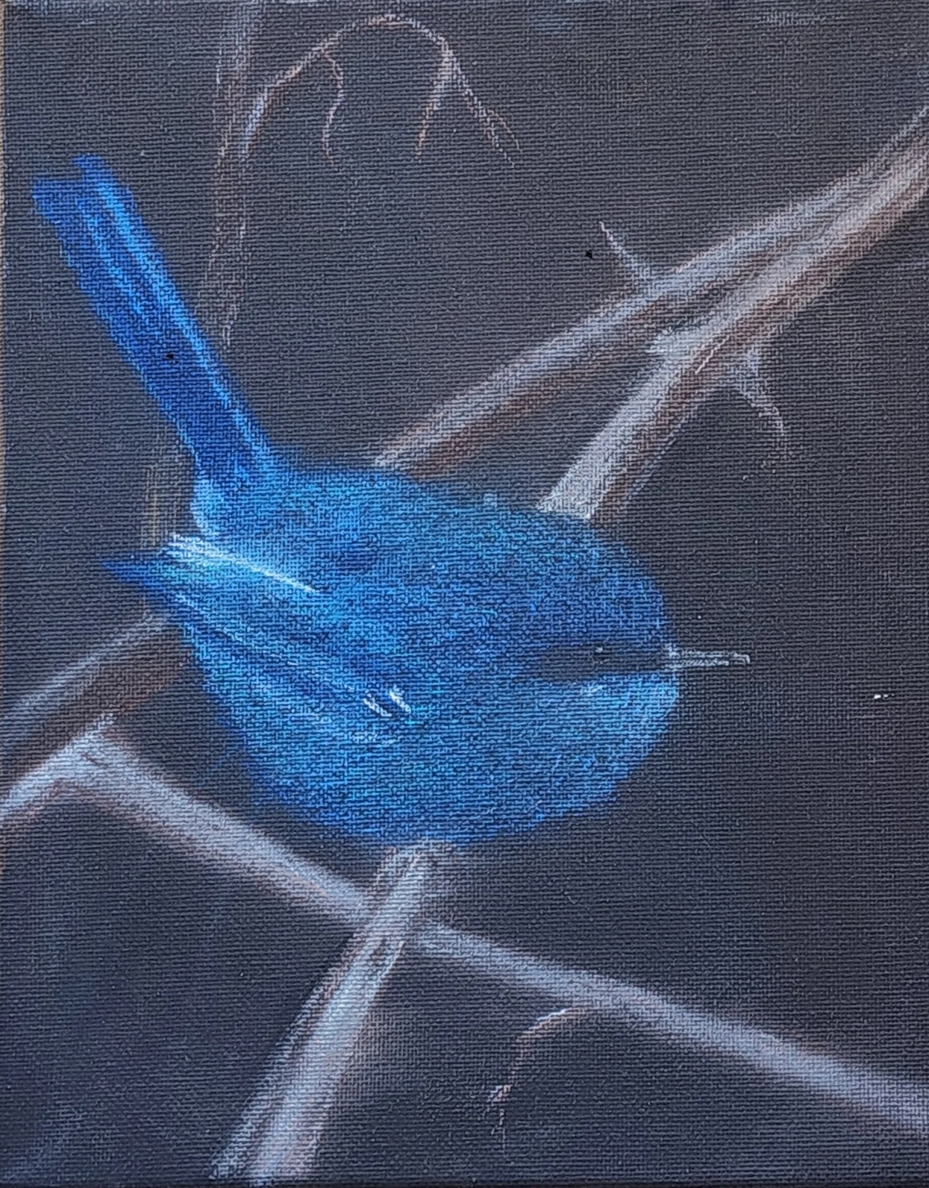 Twilight Wren