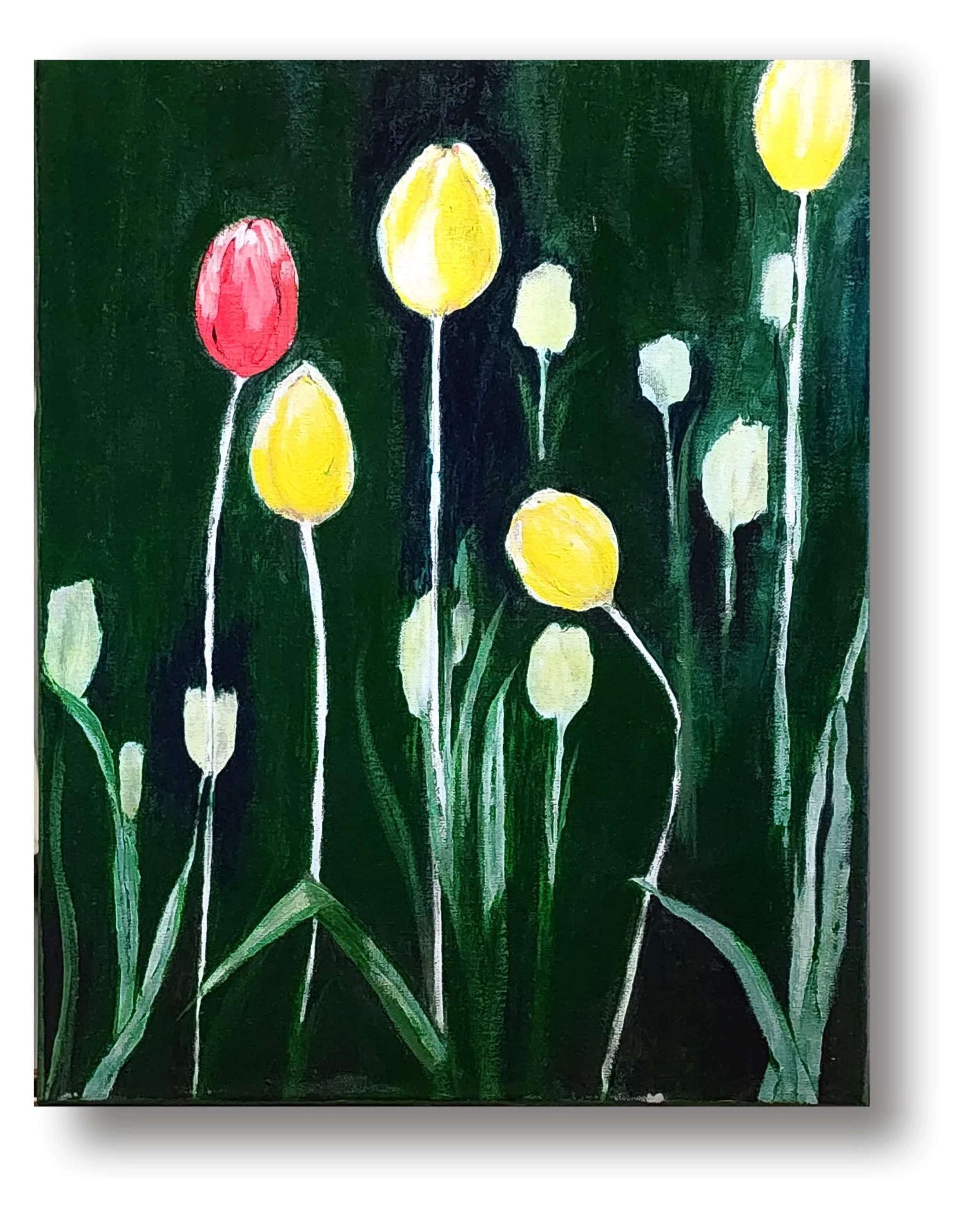 Tulips