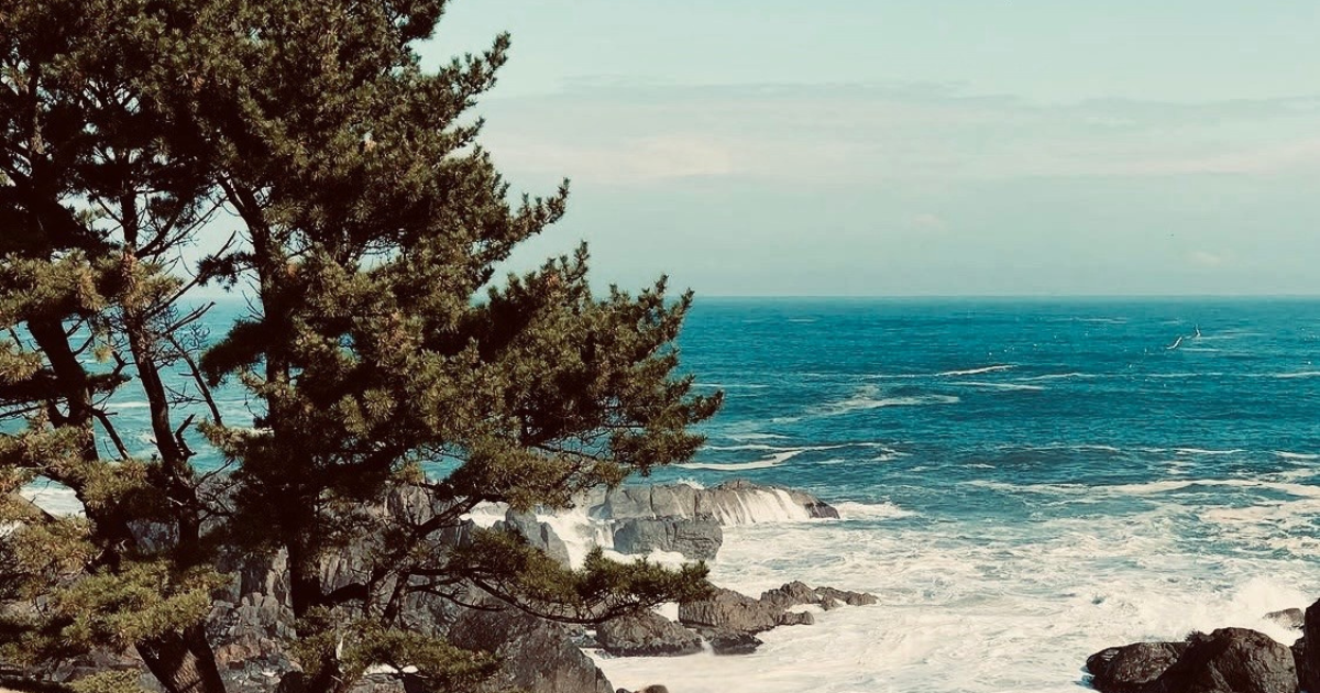 deep dive: a new way to work (the bedrock of an intentional business)