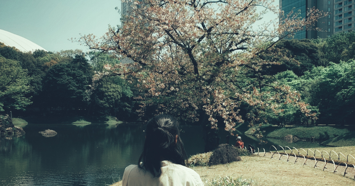 lunar new year 2026: live an intentional life in the year of the fire horse