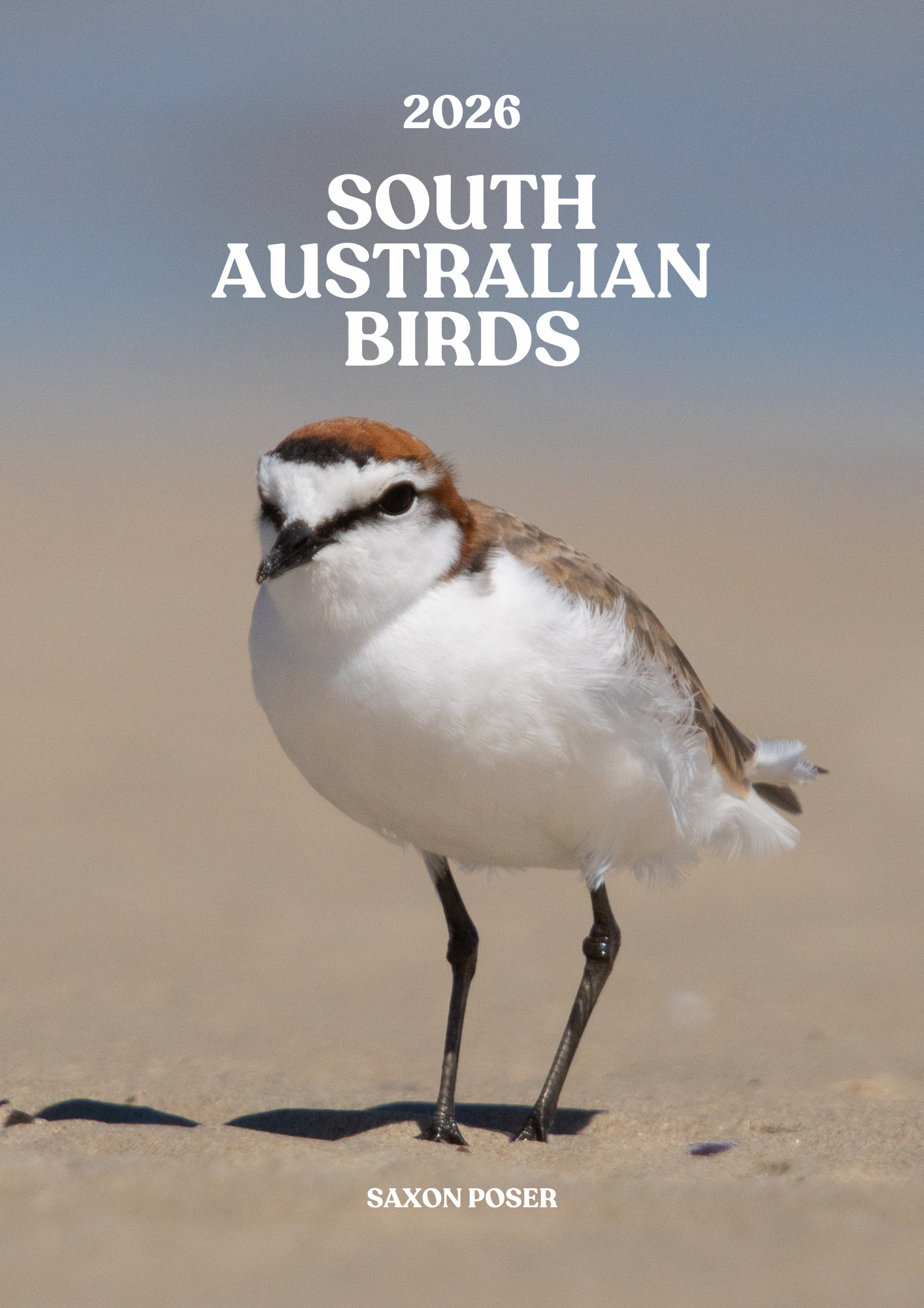 A bird standing on sandy ground with text overlaid that reads '2026 South Australian Birds' and 'Saxon Poser' at the bottom.