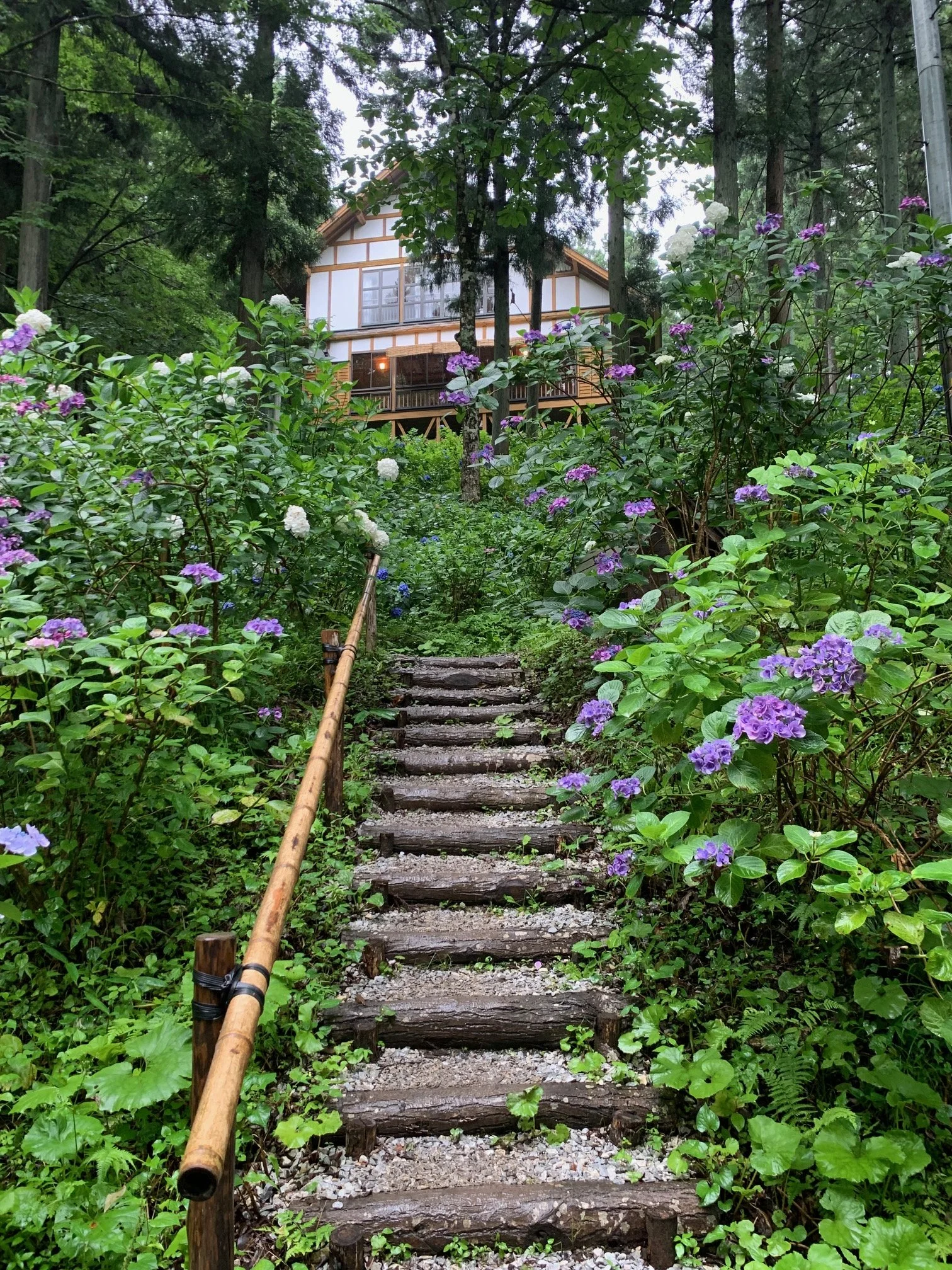 Wooden steps ascending through lush greenery and tall trees with a house visible in the background, surrounded by a garden with purple and white flowers and a bamboo handrail.