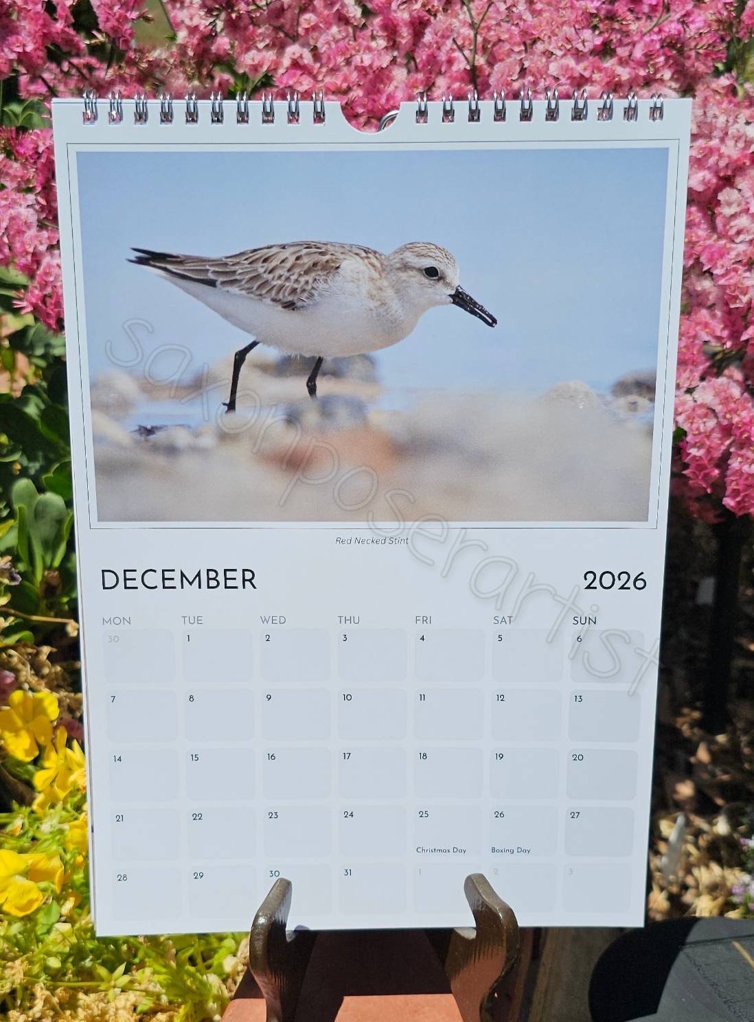 A 2024 calendar page for December featuring a photograph of a shorebird called a Red-necked Stint walking on rocks near the water, with pink flowers in the background.