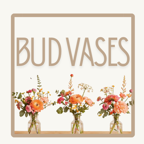 Bud Vases (1).png