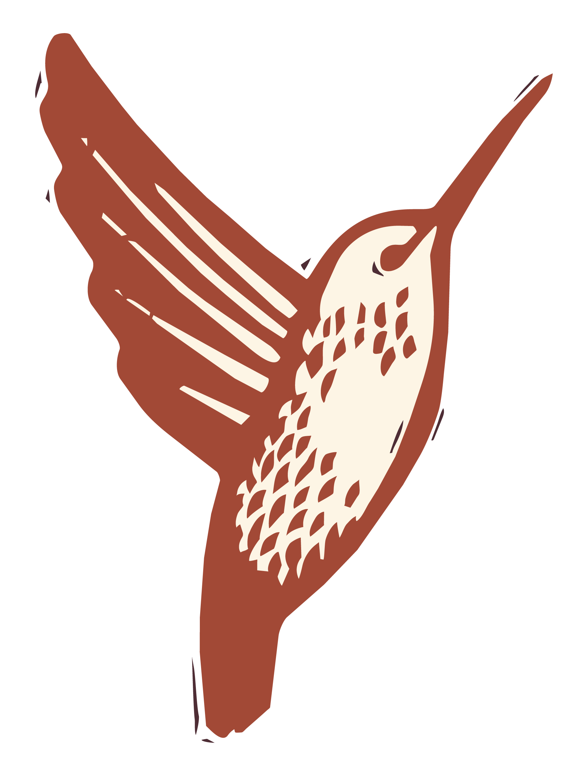 An artistic depiction of a rufous hummingbird in flight.