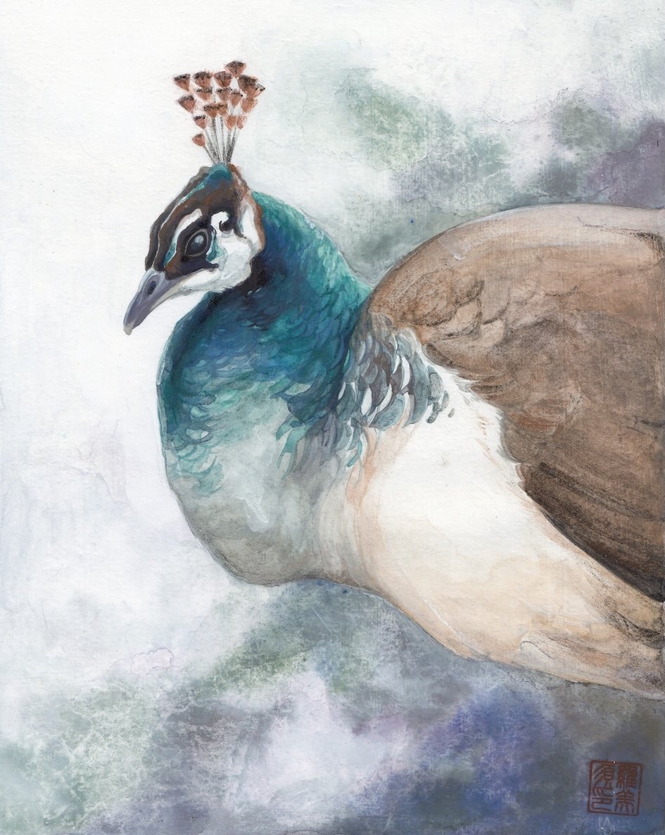 Feathers & Mist