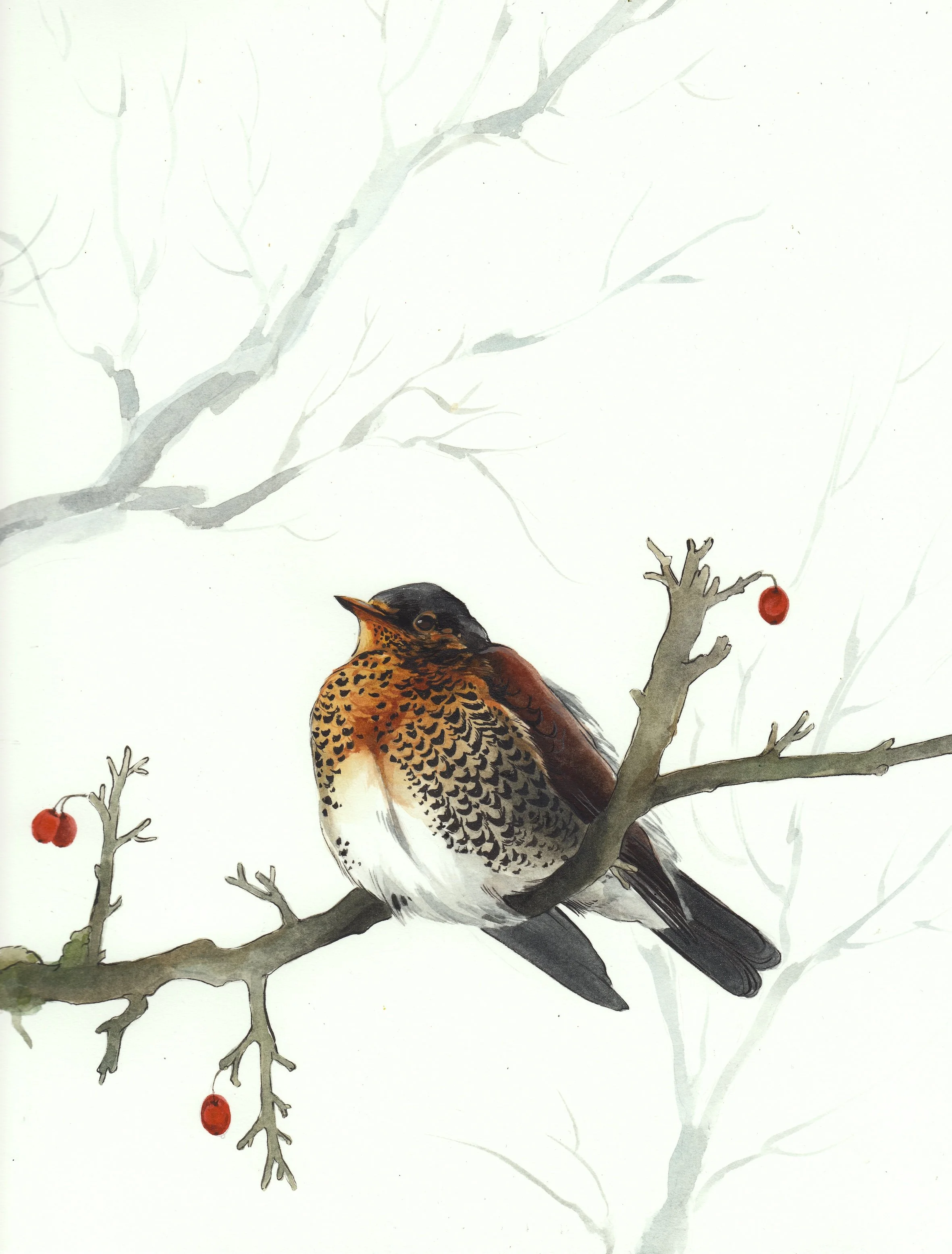 Settling in for Winter