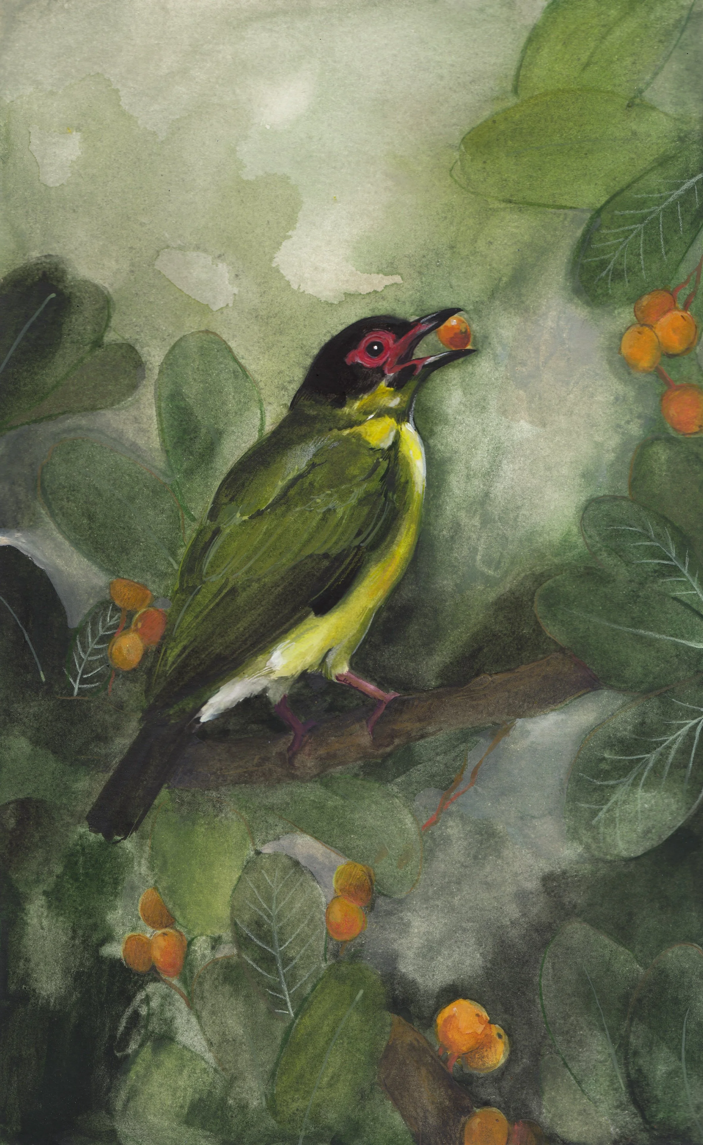 Fig Bird