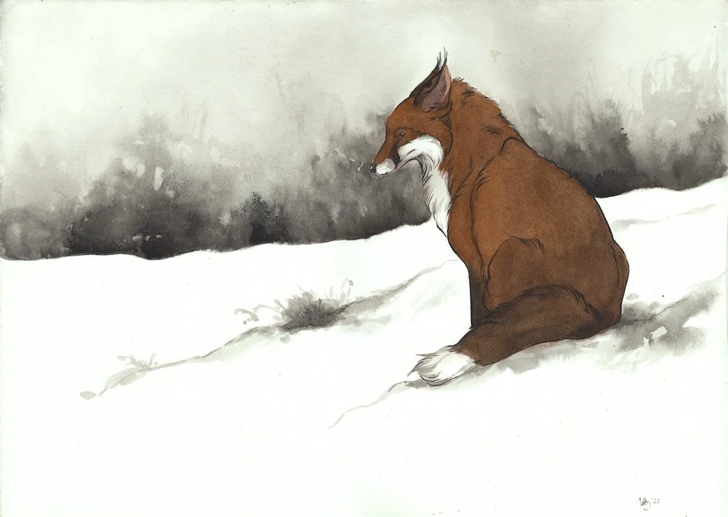 Winter King