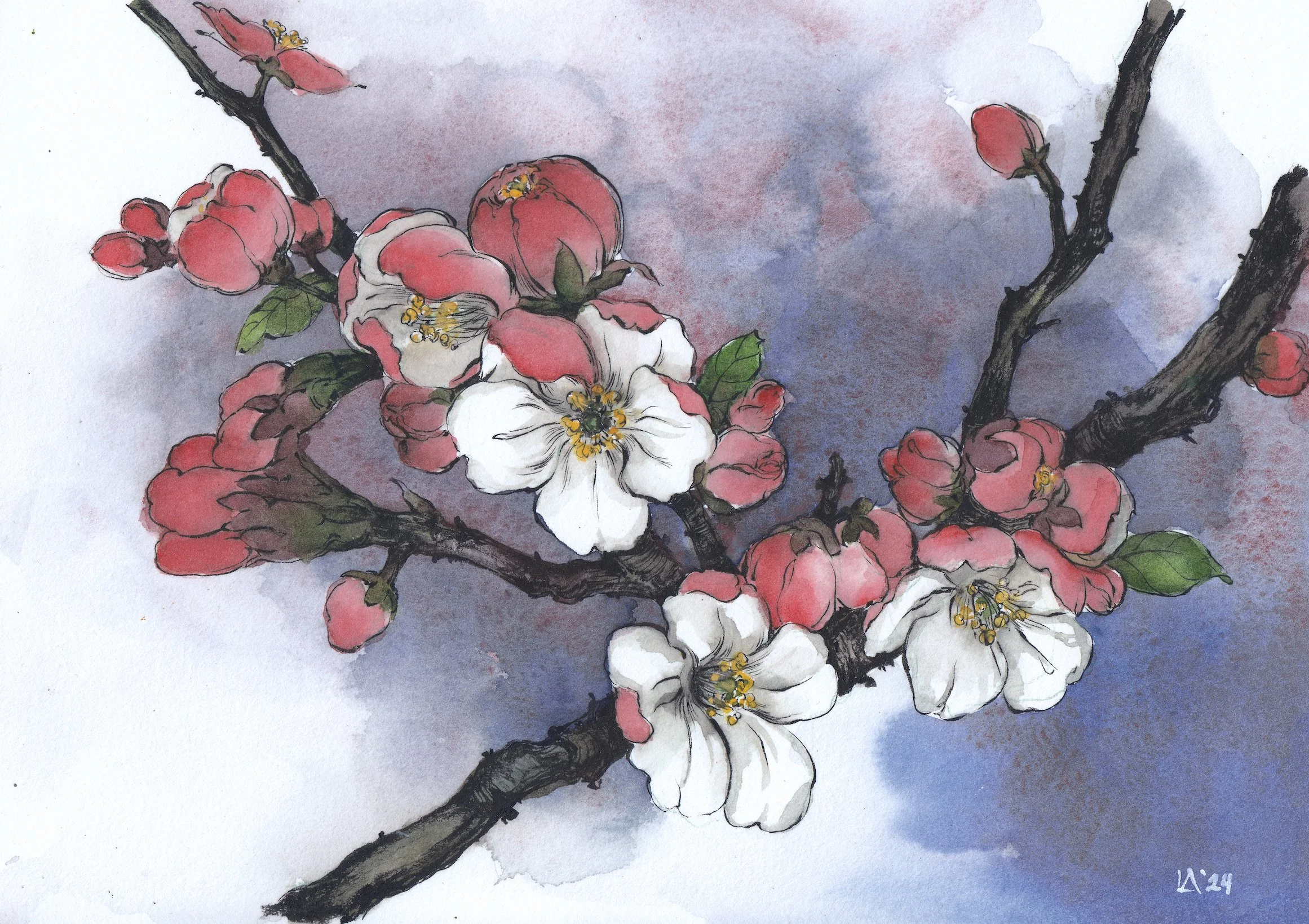 Late Blossoms