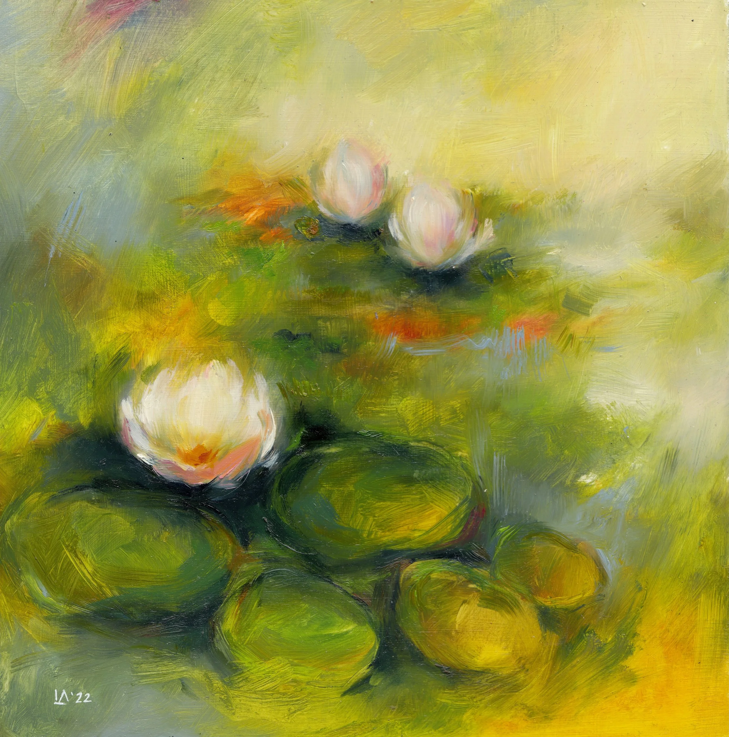 Lilies & Light