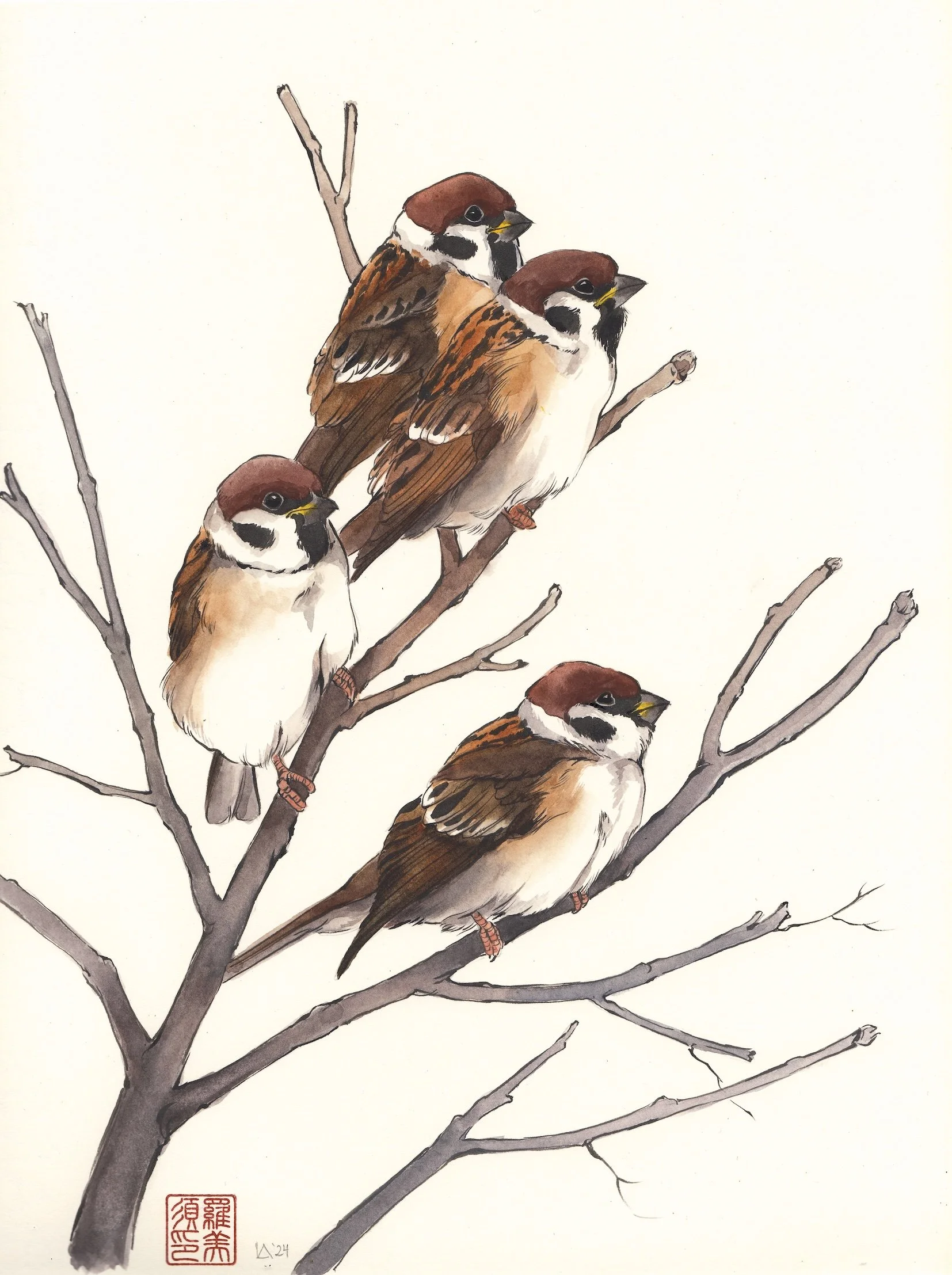 Winter Perch 