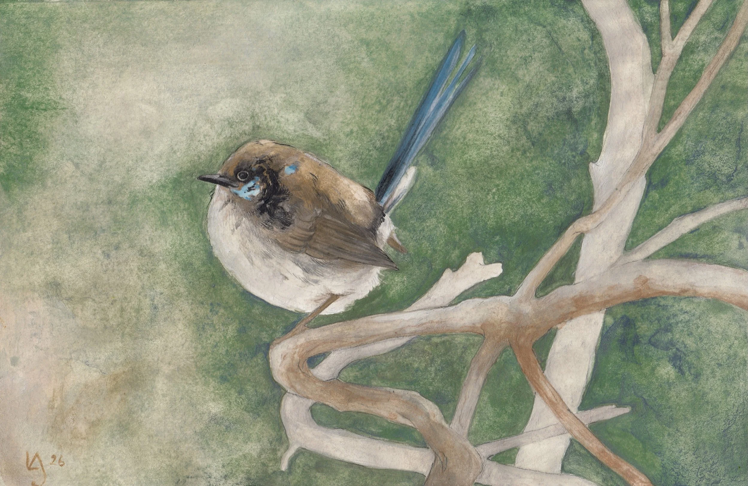 Young Wren in the Thicket