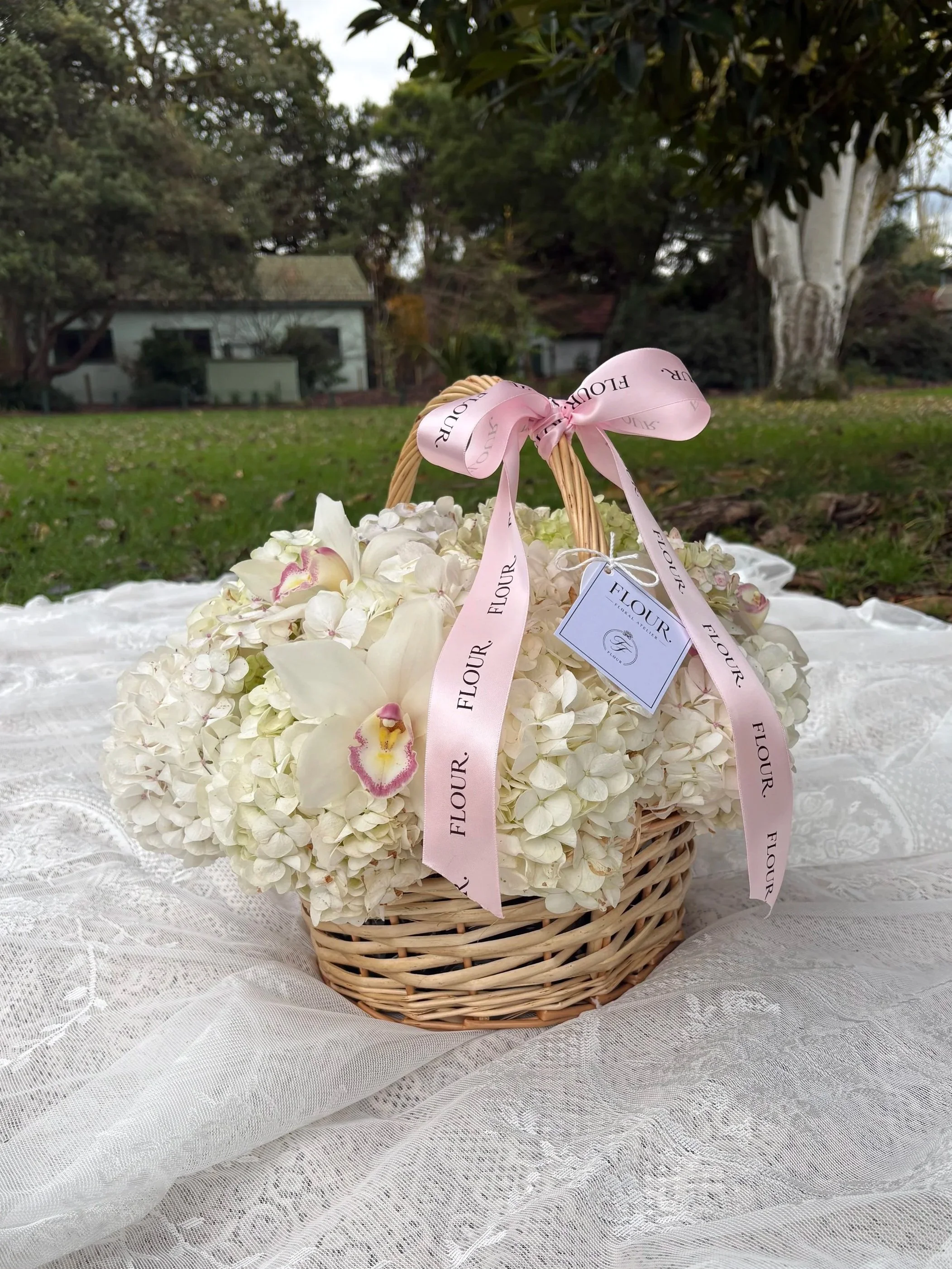 hydrangea+1.jpg