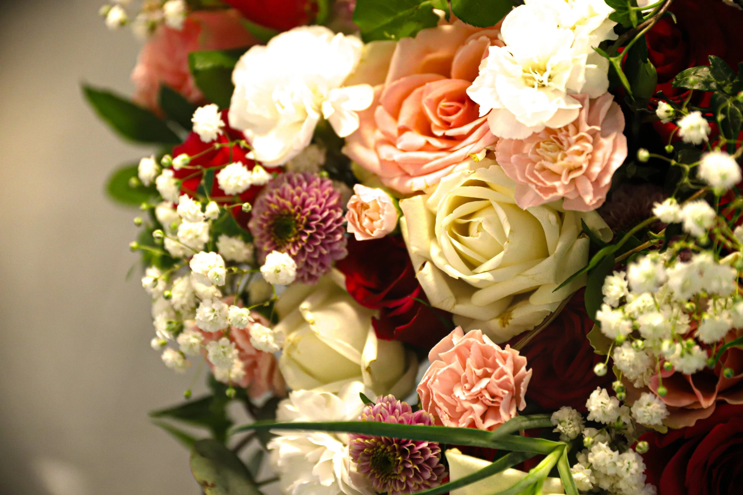 Blommor i olika färger, inklusive vita, rosa och röda, med gröna blad.