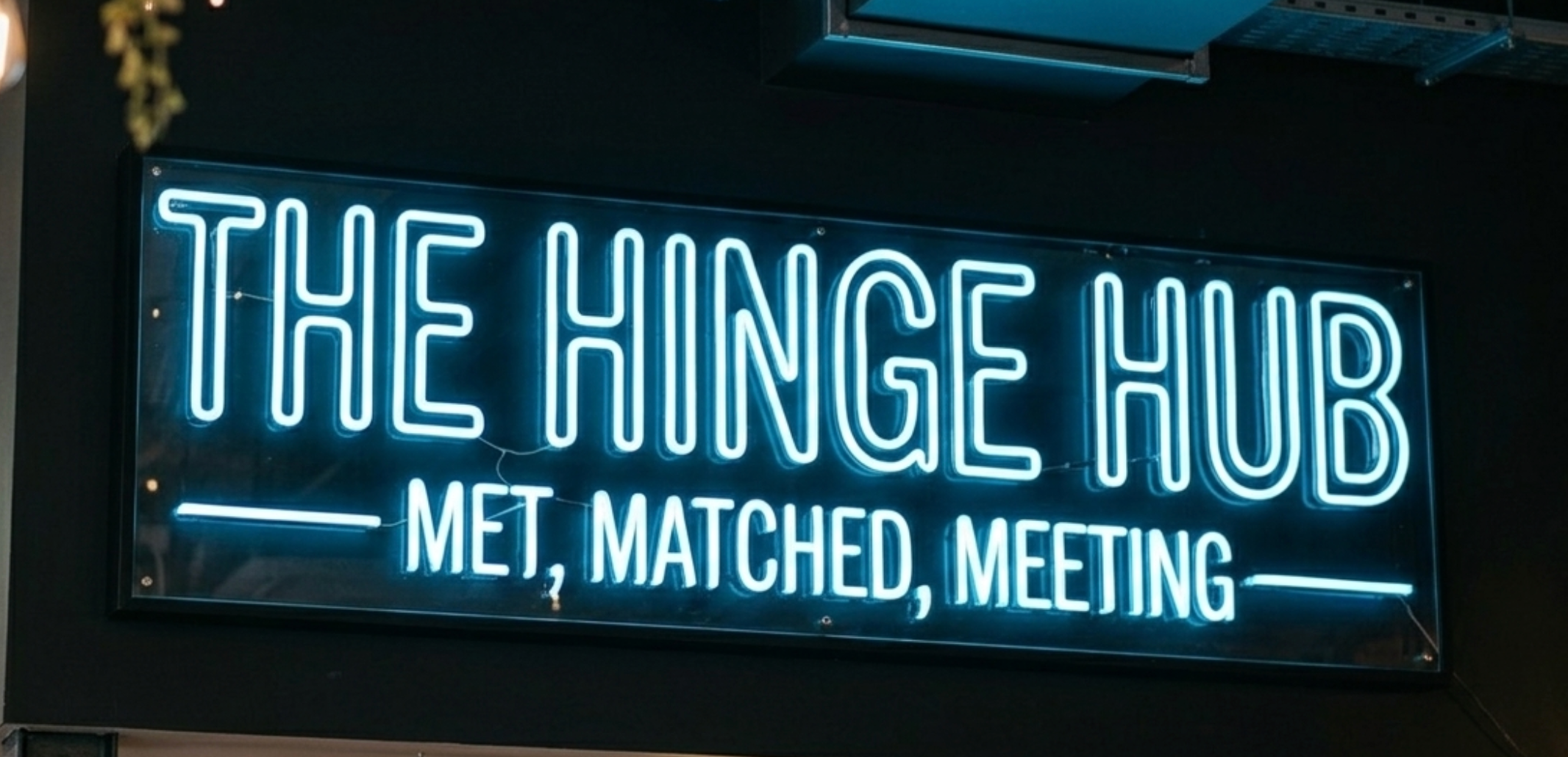 Human Insight